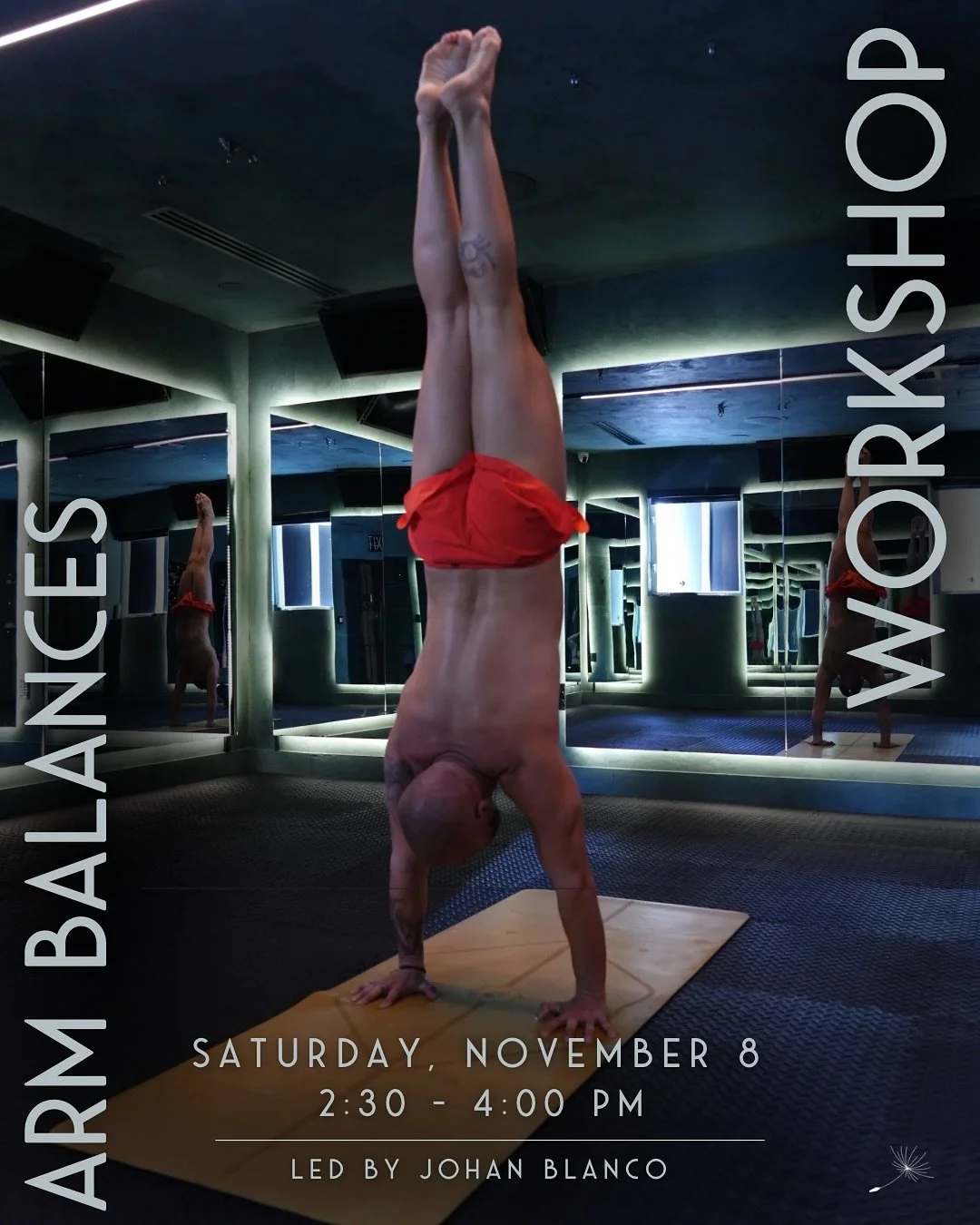 Arm balances aren’t about defying gravity, they’re about finding trust, focus, & flow 🙏🏽 
Join Johan @arqui_yogi on Nov. 8th for a 90min workshop designed to help you cultivate strength, stability, and confidence to take your pract