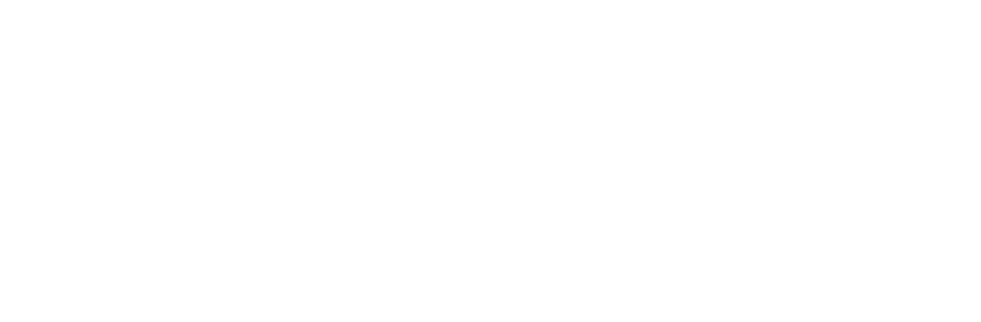 Ascenso Consulting Network