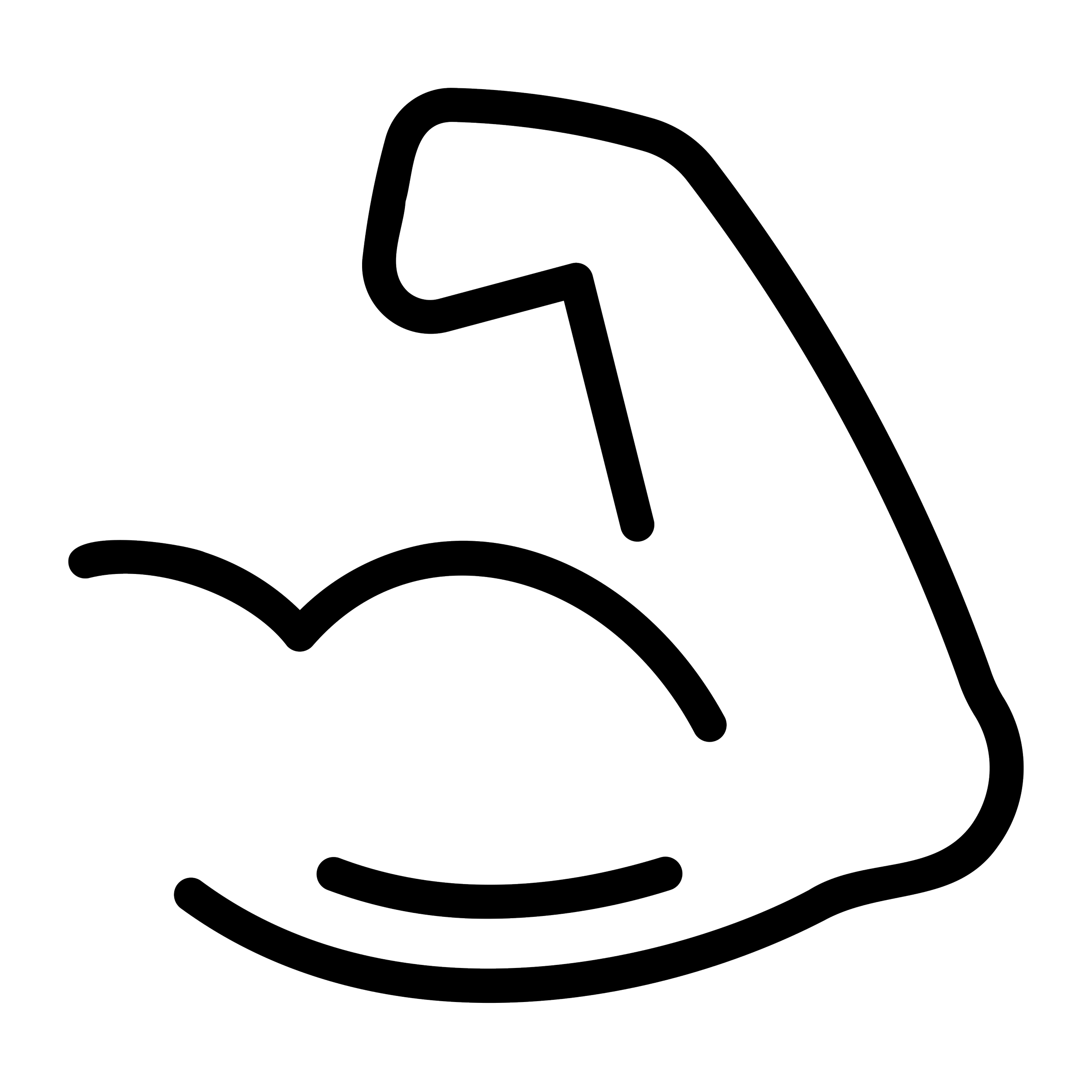 Illustration of a muscular bicep