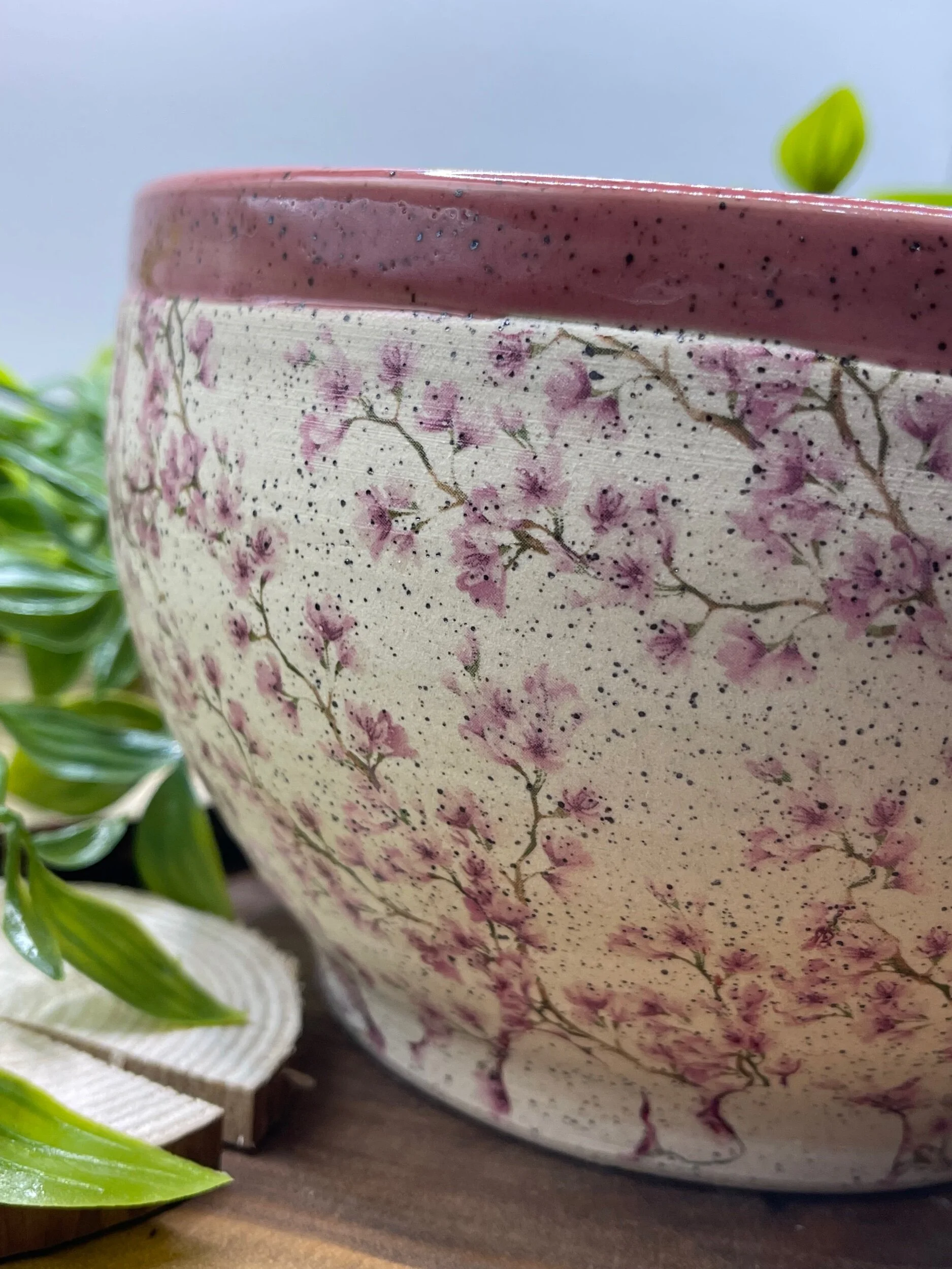 Close-up of a ceramic bowl with pink and white floral design on a wooden surface with green plants nearby.