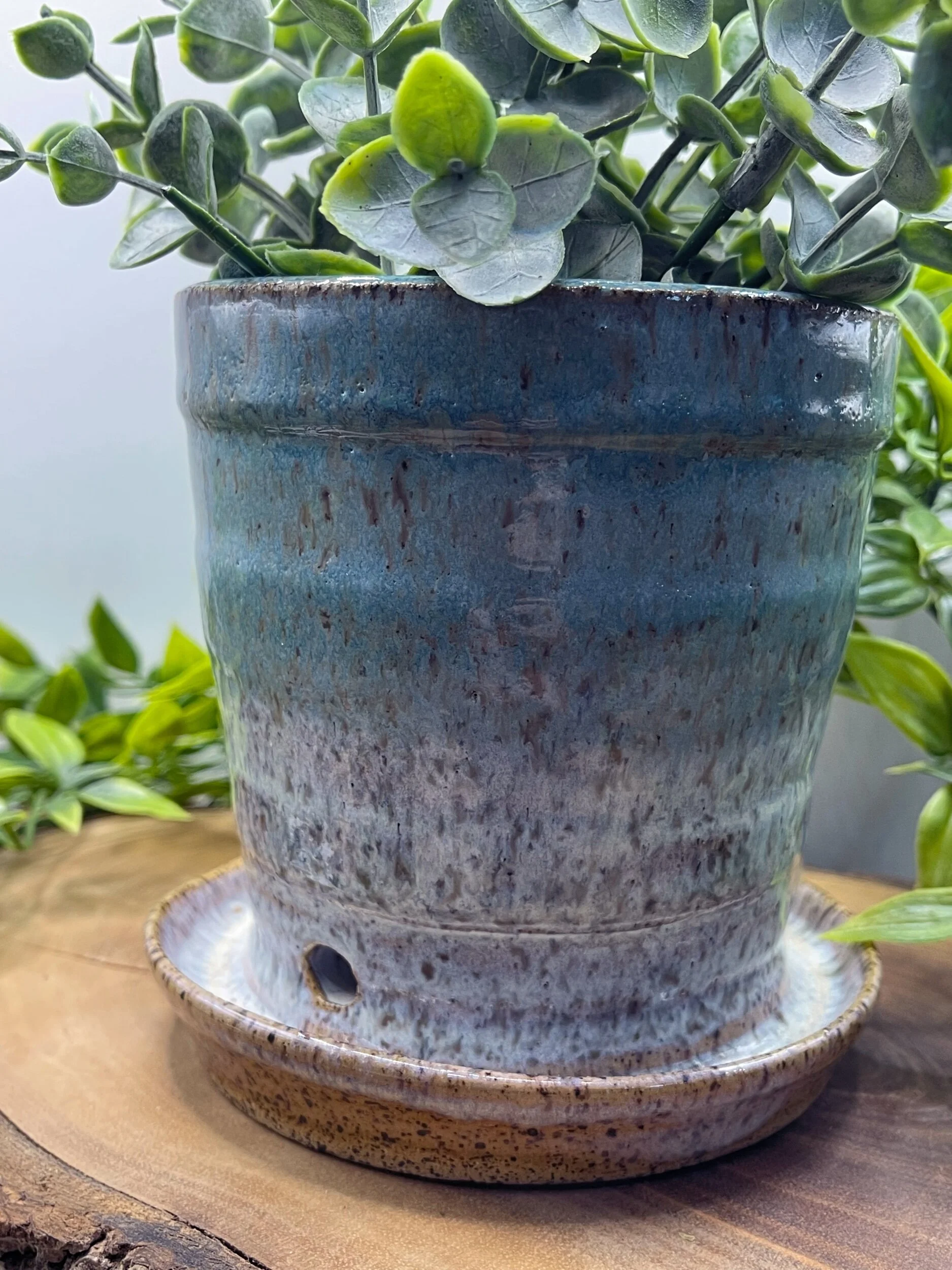 A ceramic plant pot with a drainage hole, containing a green leafy plant, sitting on a wooden surface with a matching saucer underneath.