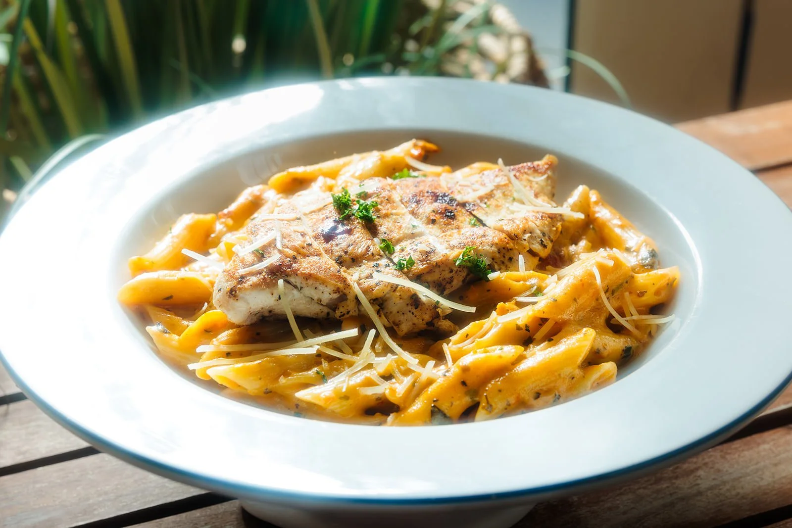 Plate of creamy pasta with chicken and shredded cheese, garnished with parsley.