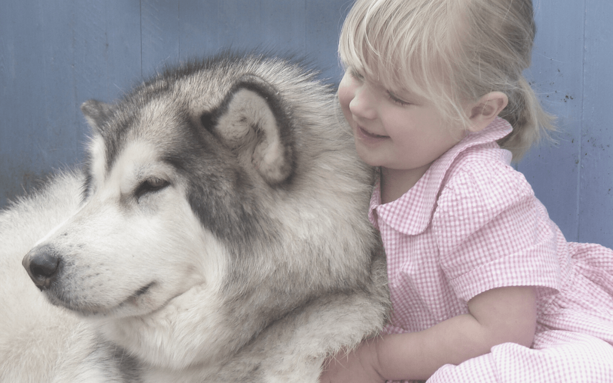 Is it time we learned to embrace the big, bad wolf of stress?
