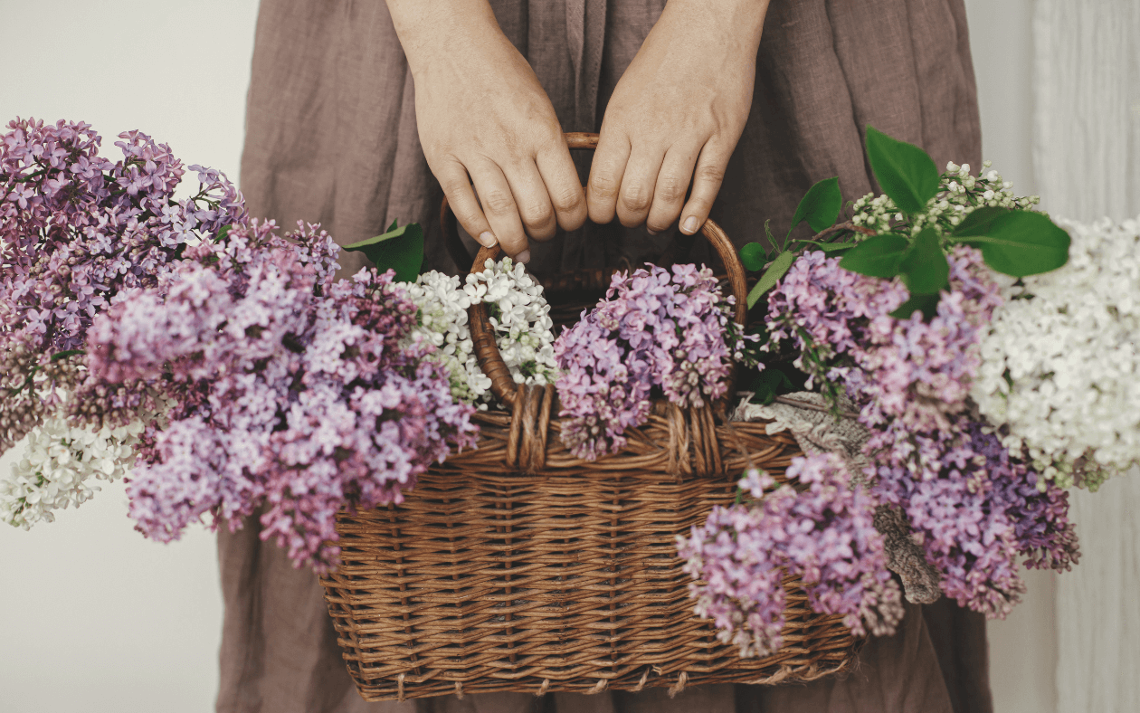 Ten easy mind hacks I used to simplify my life