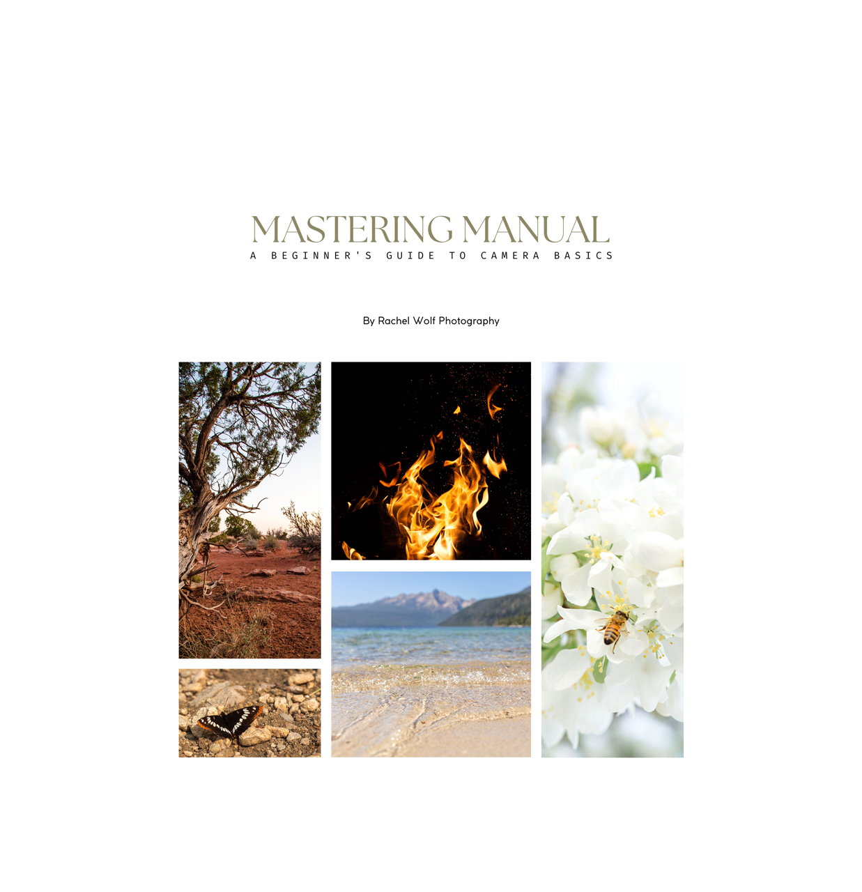 Mastering-Manual-eGuide.png
