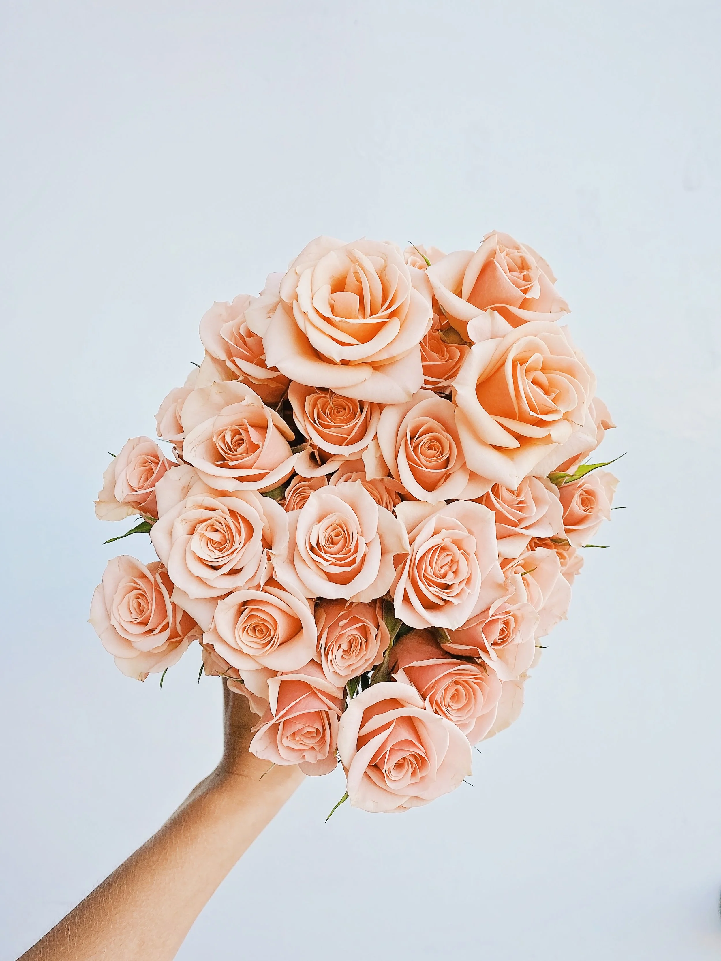 Bulk Flowers Dayton Ohio Best Flower Site