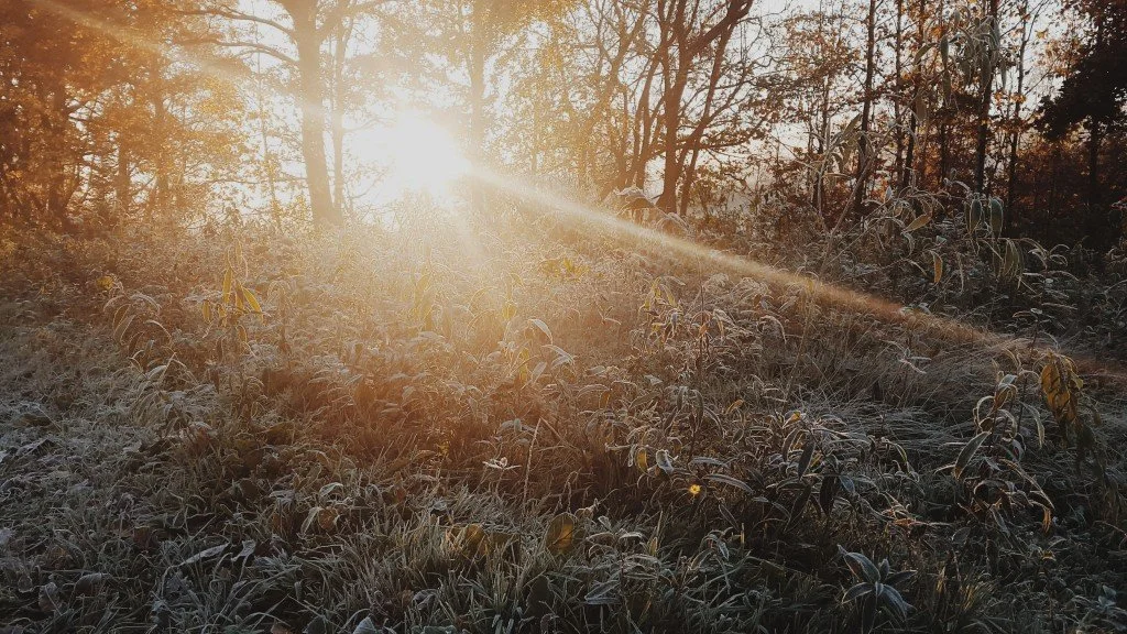 Season of Light