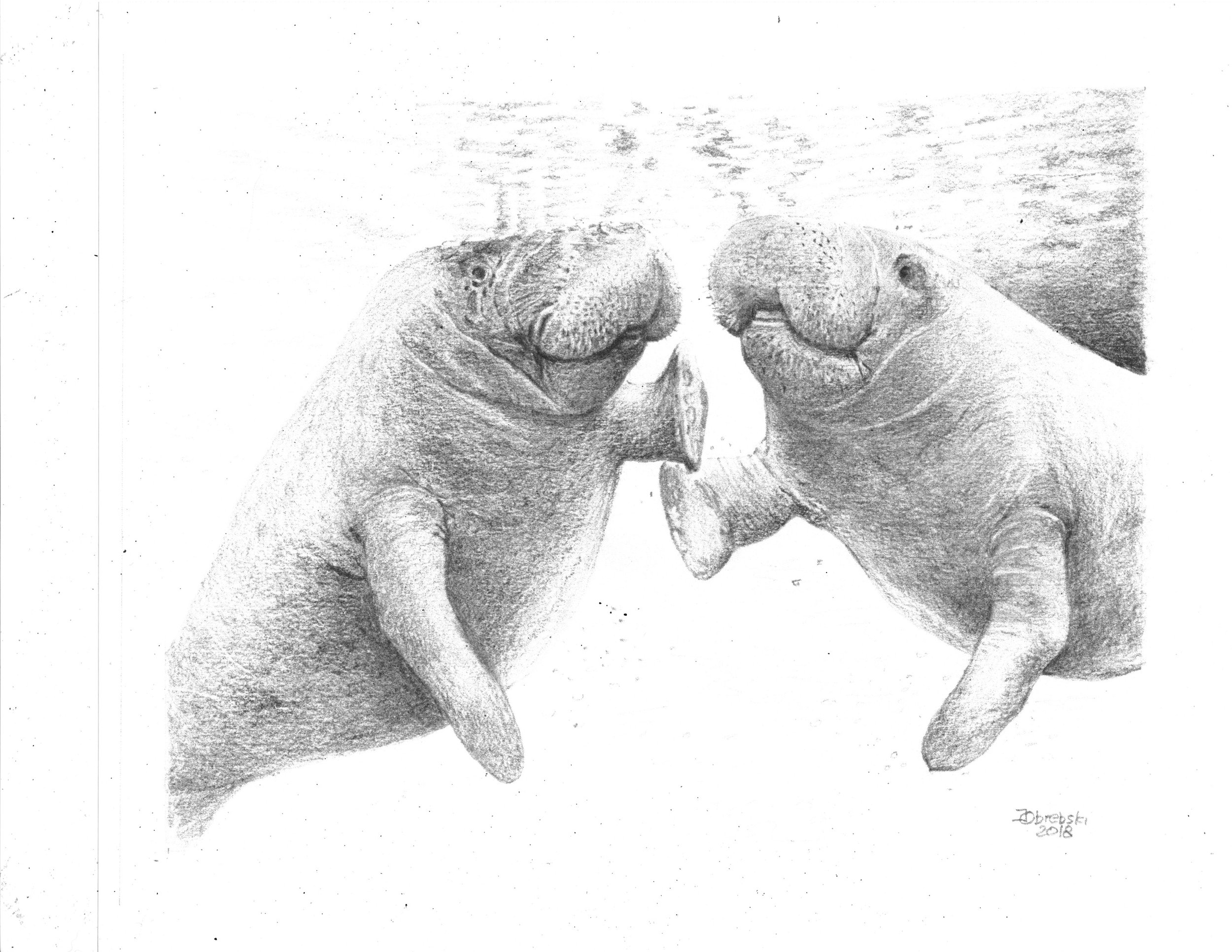 High Five     11 x 14