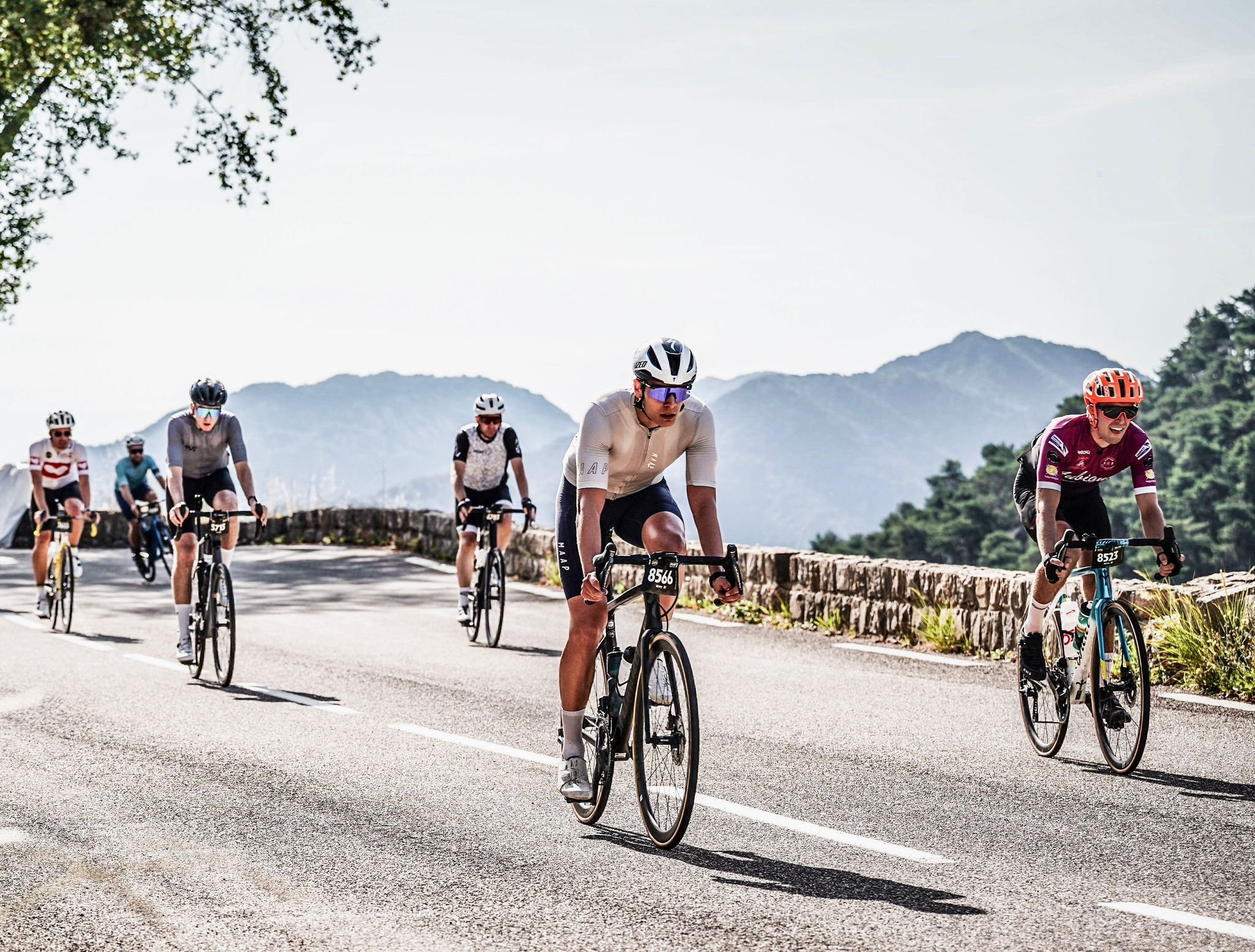 WhatsApp Image 2025-05-07 at 12.31.04 (2).jpeg