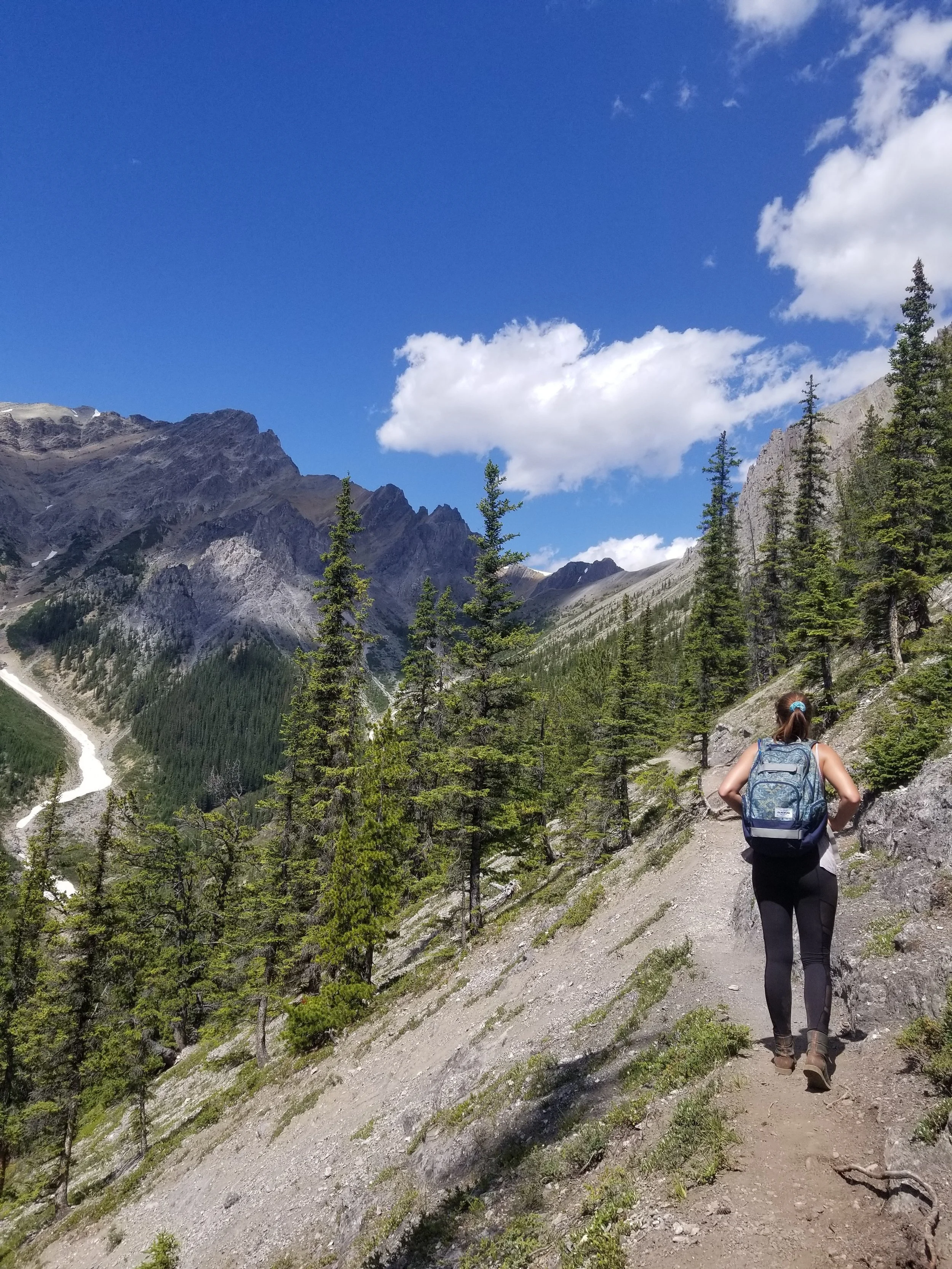 Cory Edith Pass Hiking Guide — Michelle Outdoors