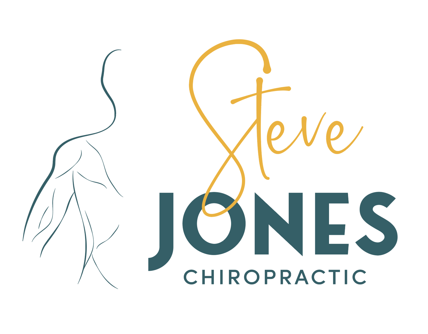 Steve Jones Chiropractic
