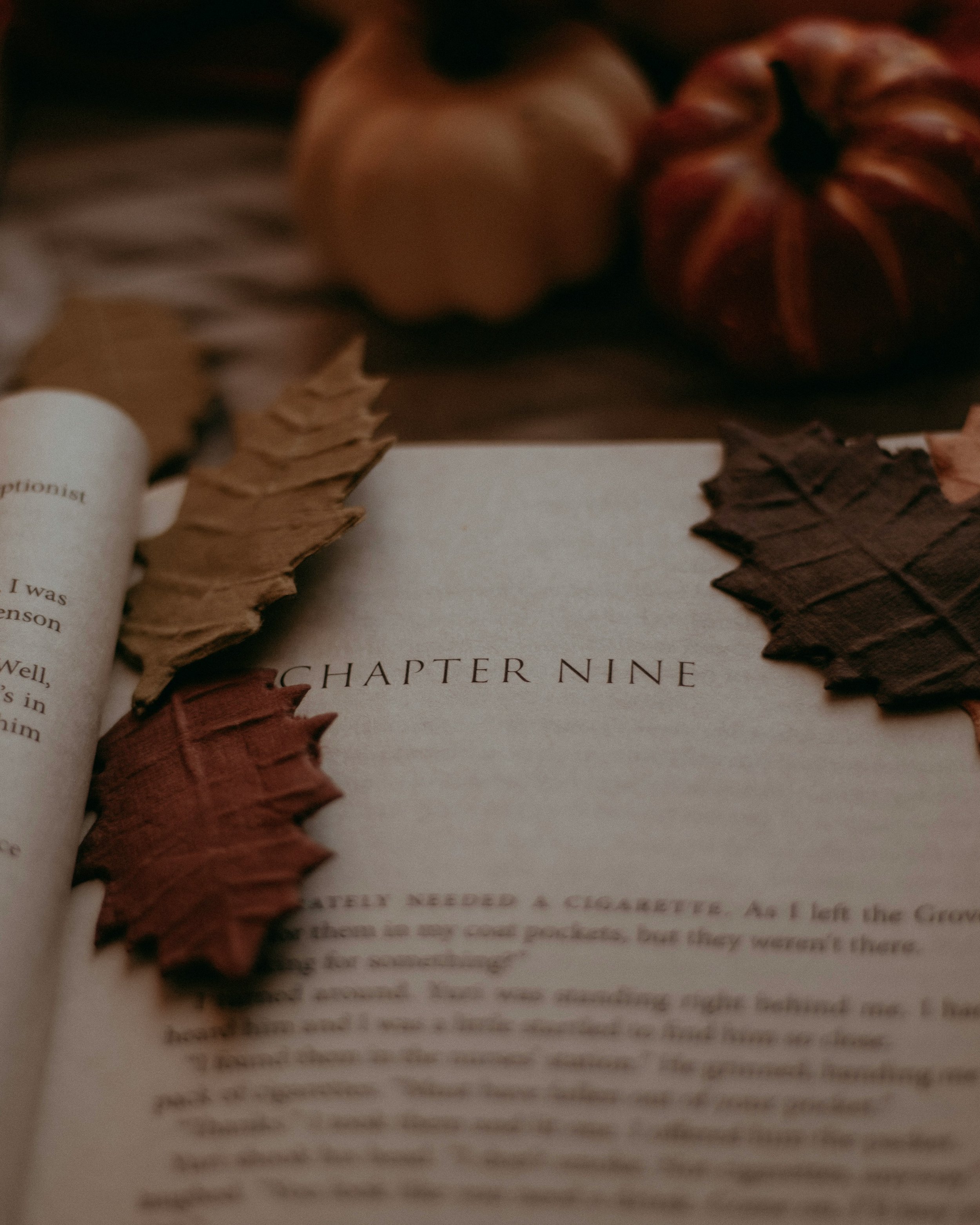 November Book Recommendations