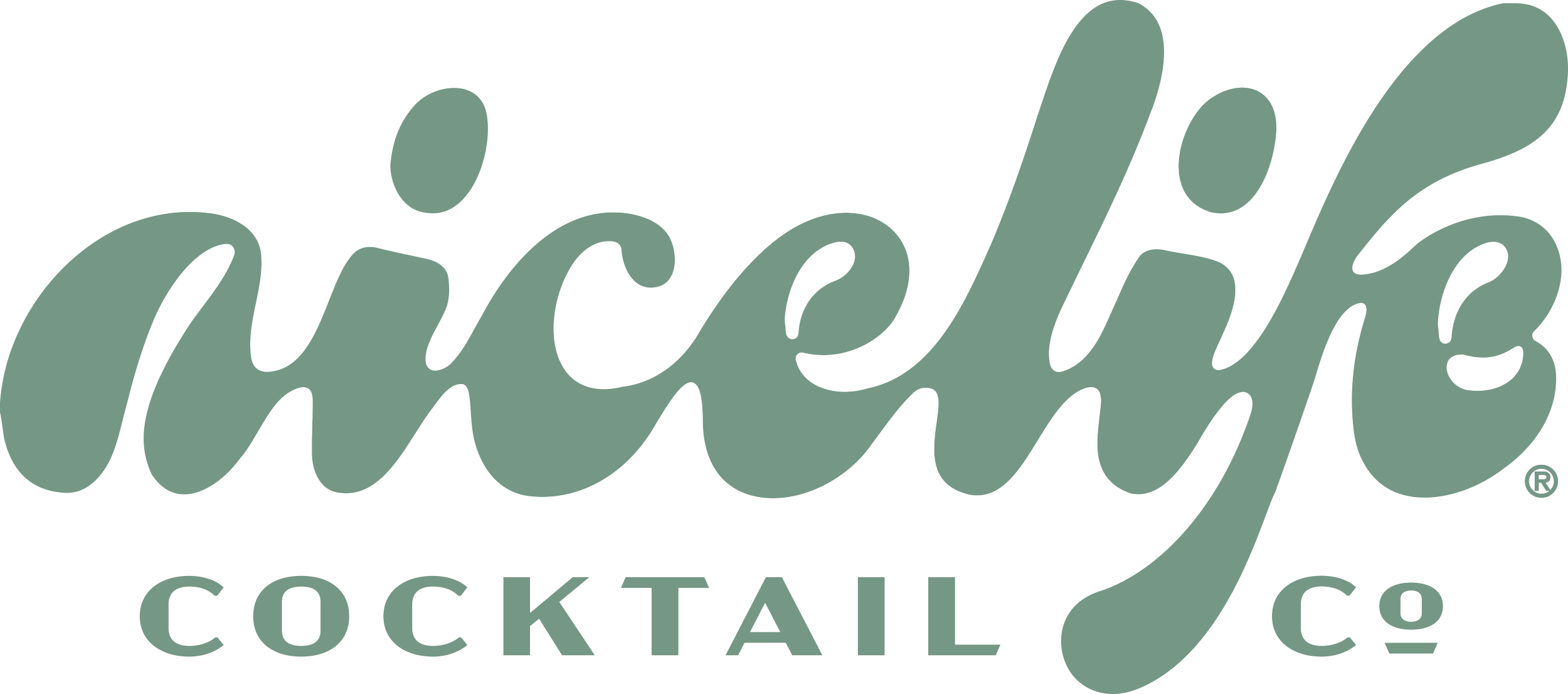 NIce-Life-Cocktail-Co-Green.png