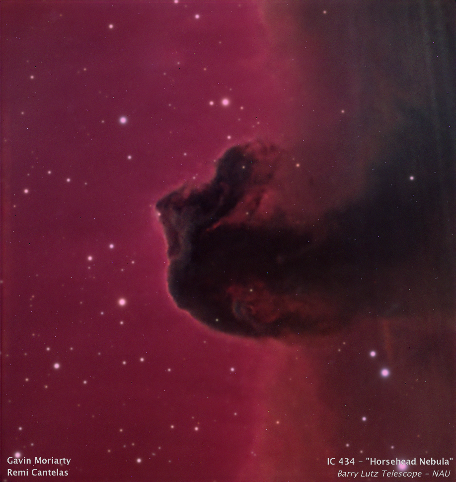 Horsehead Nebula