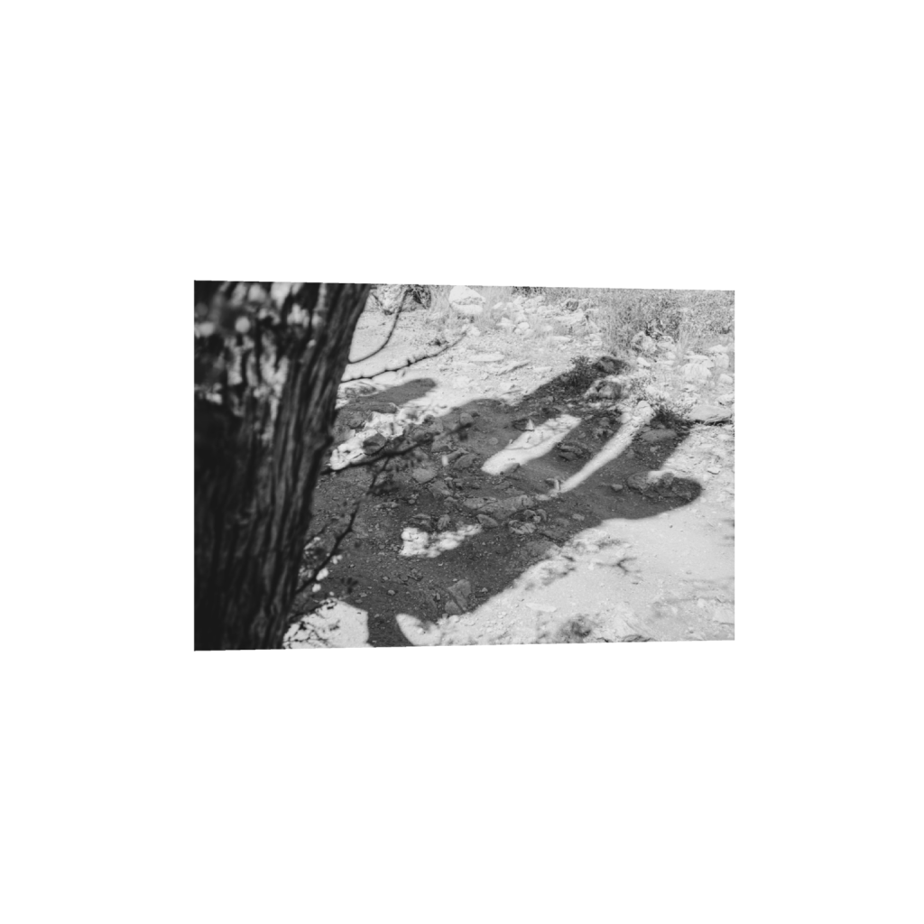 ptq_1_3_0_0_6000_4000_0_false_ffffff_0_0_.png