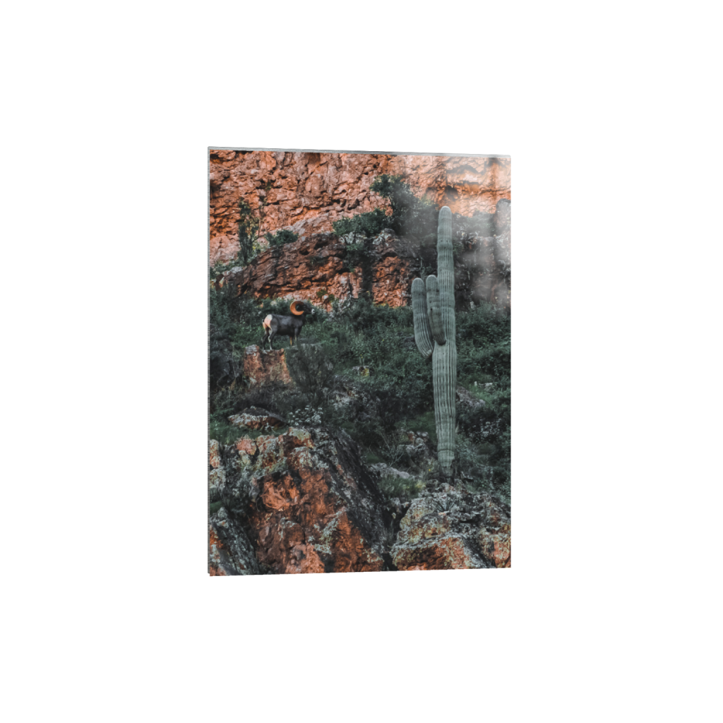 ptq_13_7_103_0_1725_2416_0_false_ffffff_0_0_.png