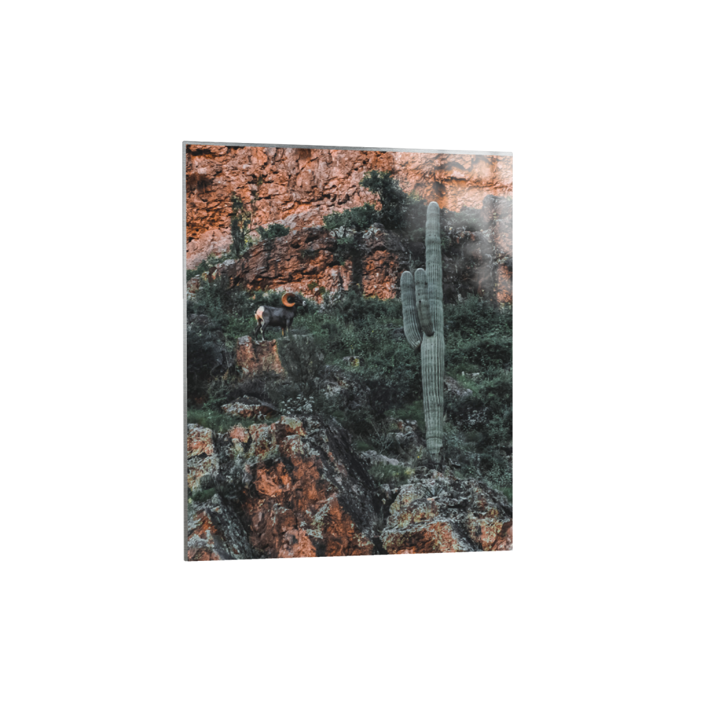 ptq_13_6_12_0_1932_2416_0_false_ffffff_0_0_.png