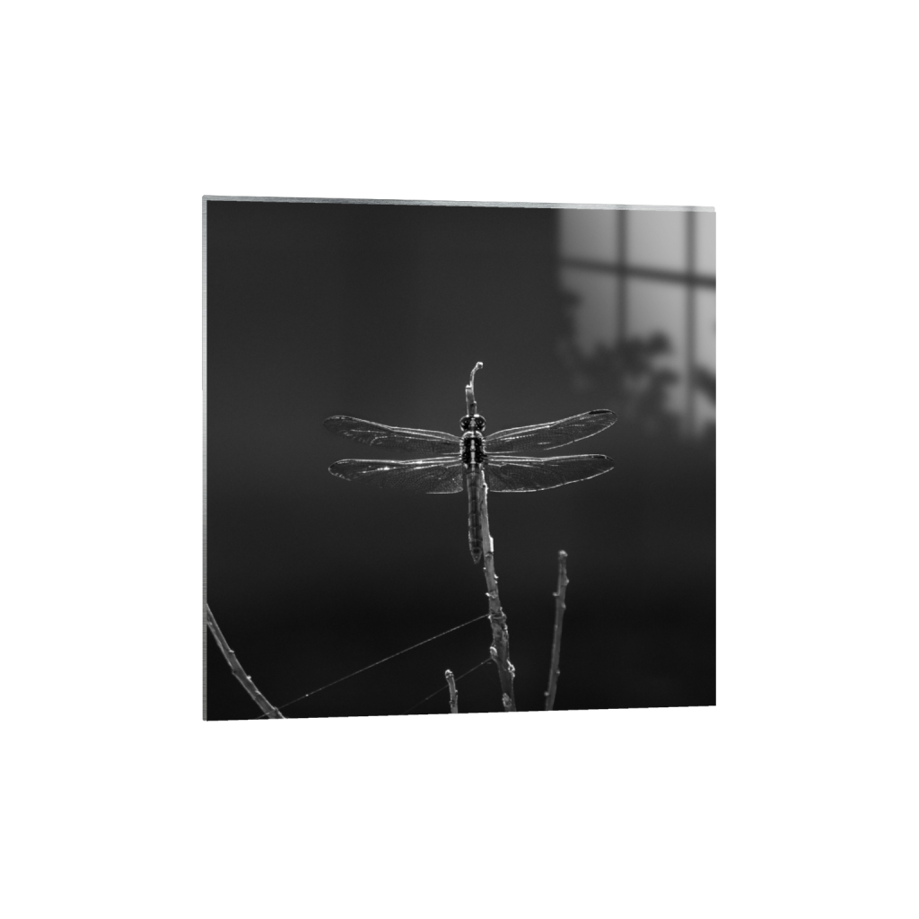 ptq_13_0_0_128_1354_1354_0_false_ffffff_0_0_.png