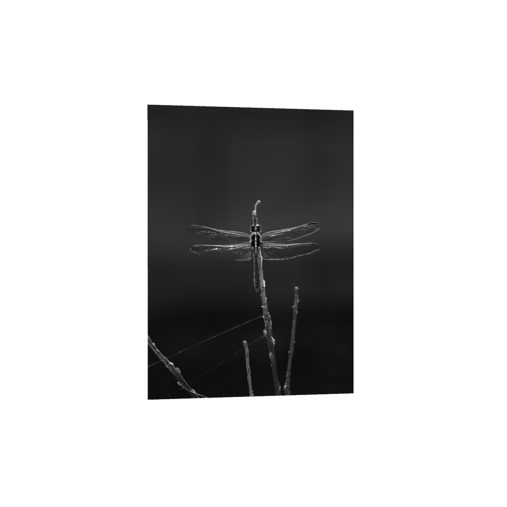 ptq_1_7_72_0_1208_1692_0_false_ffffff_0_0_.png