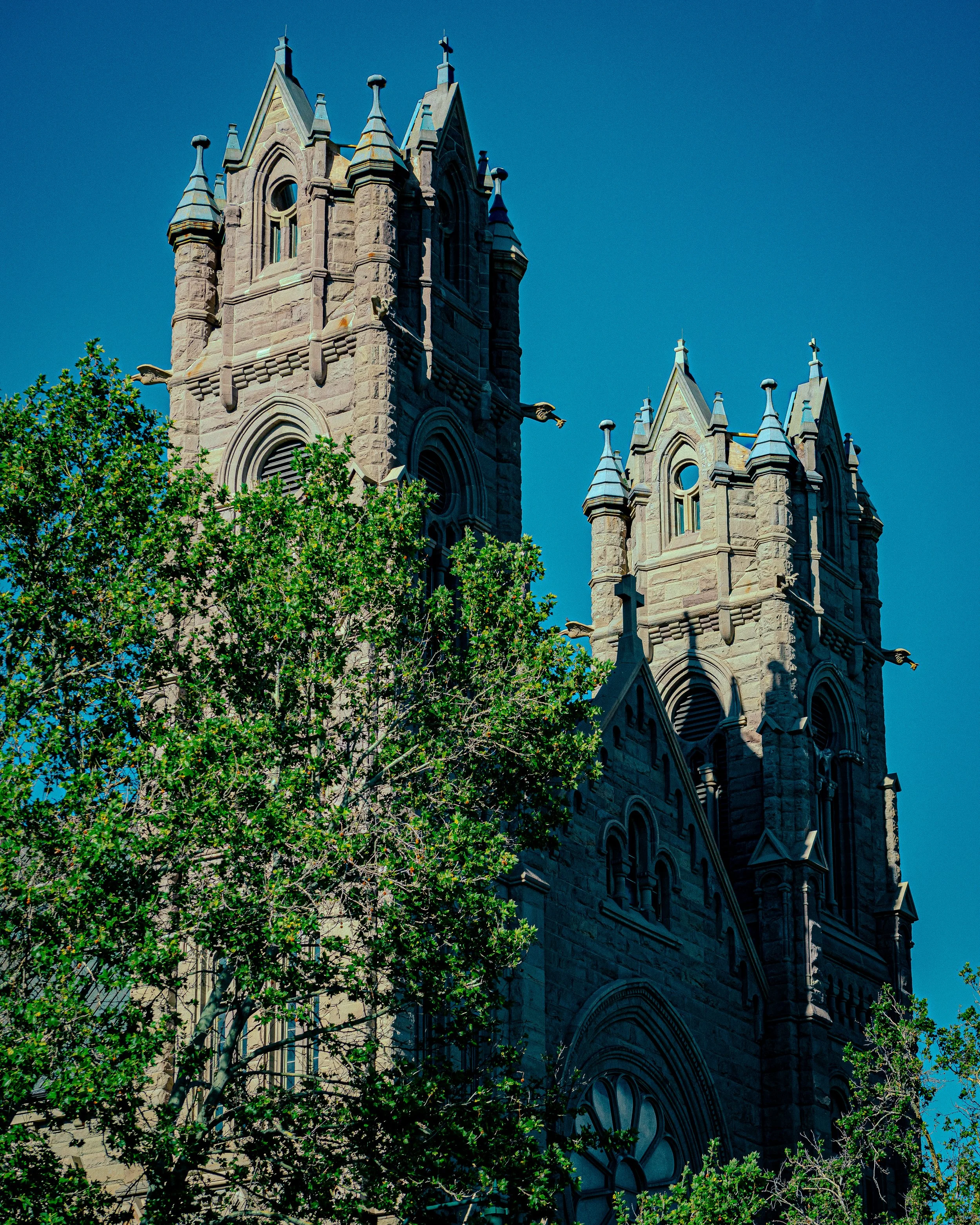 wedding-20.jpg