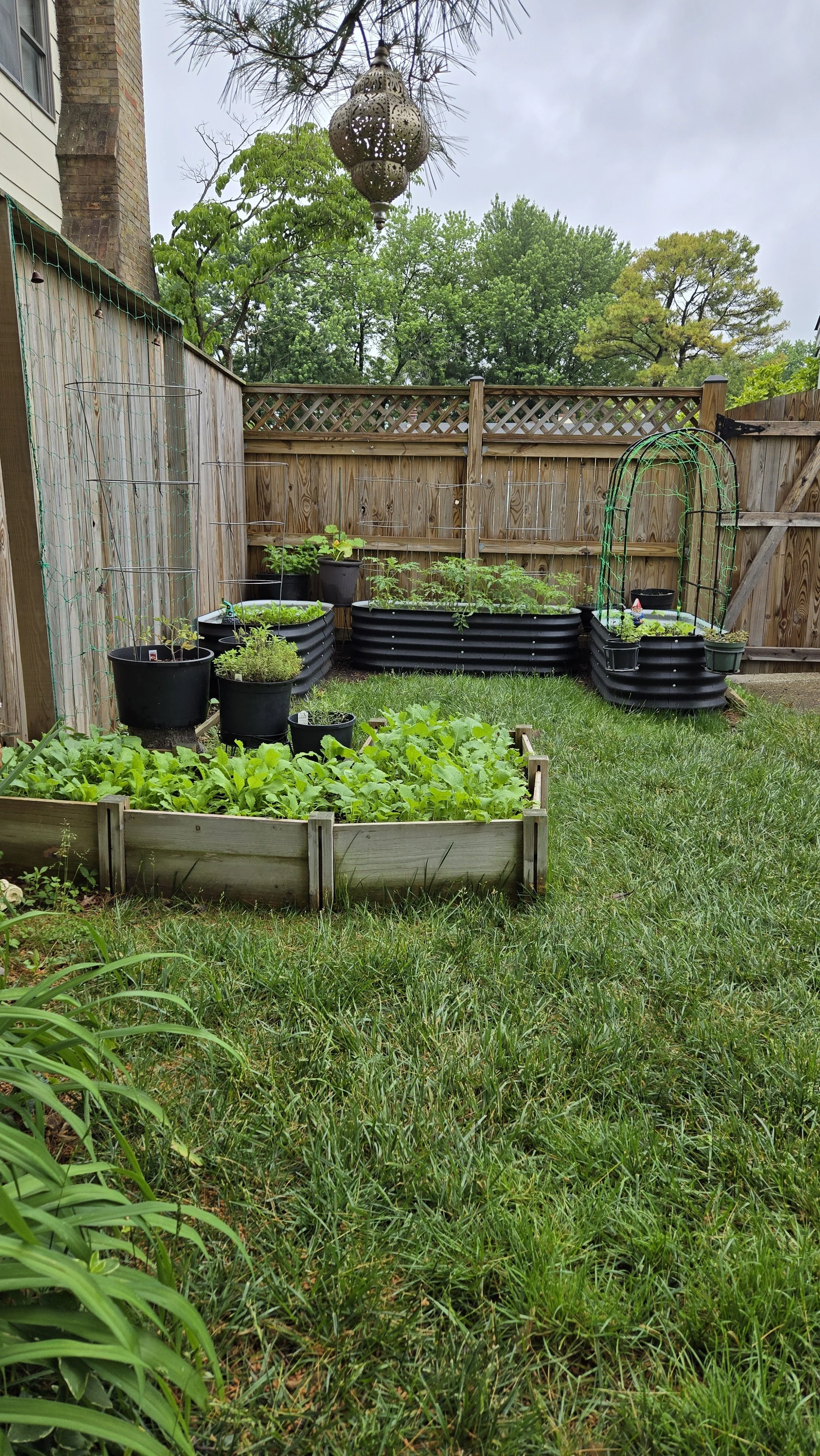 20260525_120847 Garden.jpg
