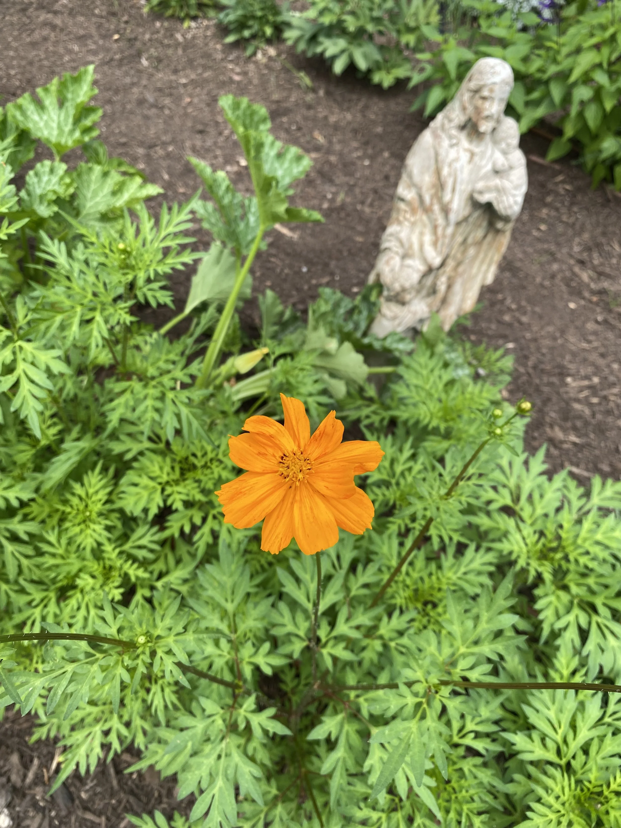 Photo May 17 2025, 2 51 50 PM.jpg