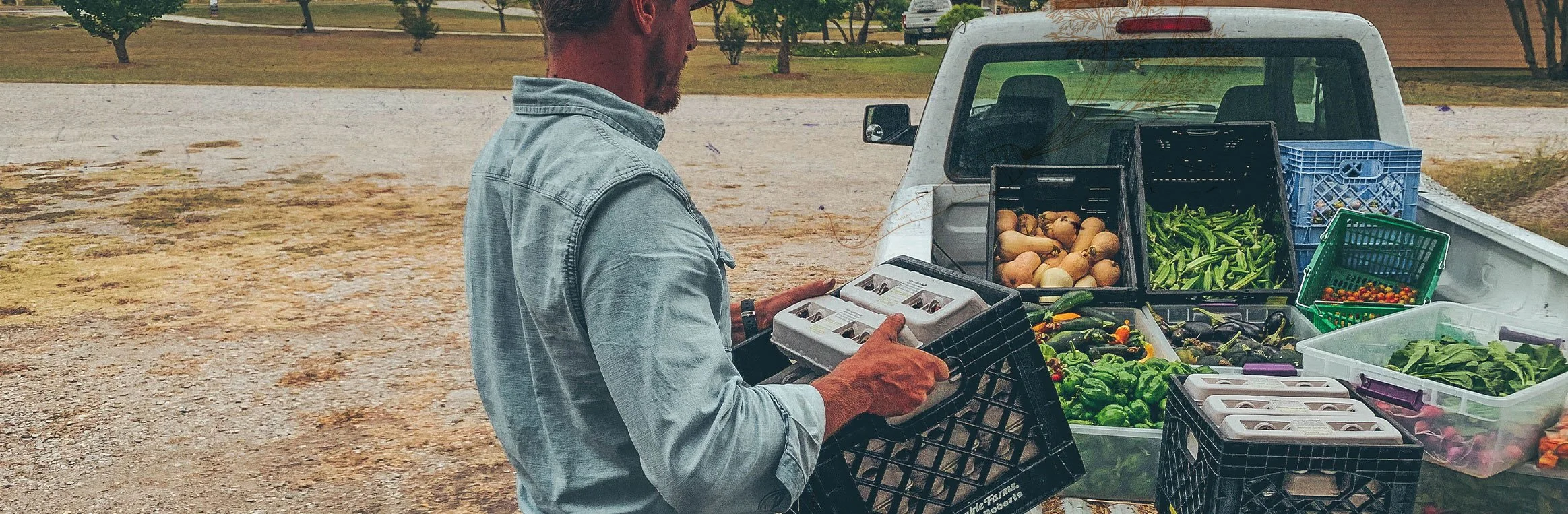 15+ Tons of Food Grown Annually: 350 Families Fed Each Week, 8,000 Dozen Eggs, 15 Thousand Heads of Lettuce
