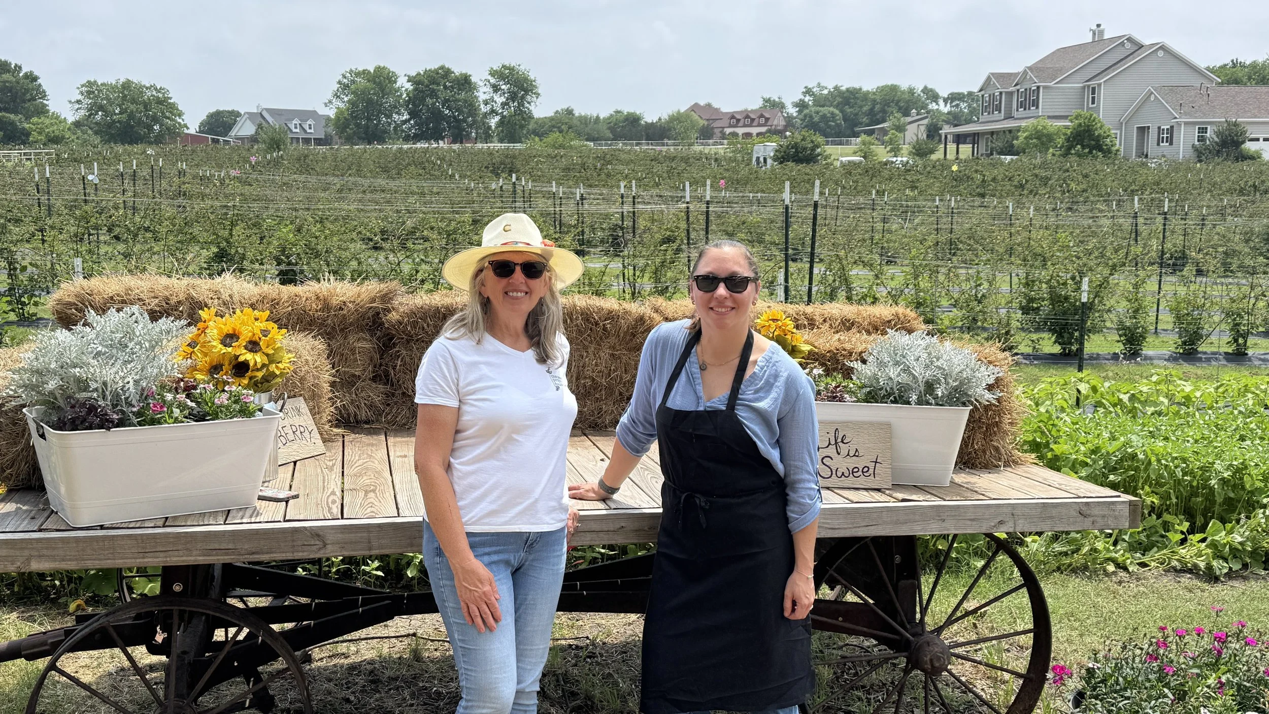 Photo May 17 2025, 12 07 32 PM.jpg