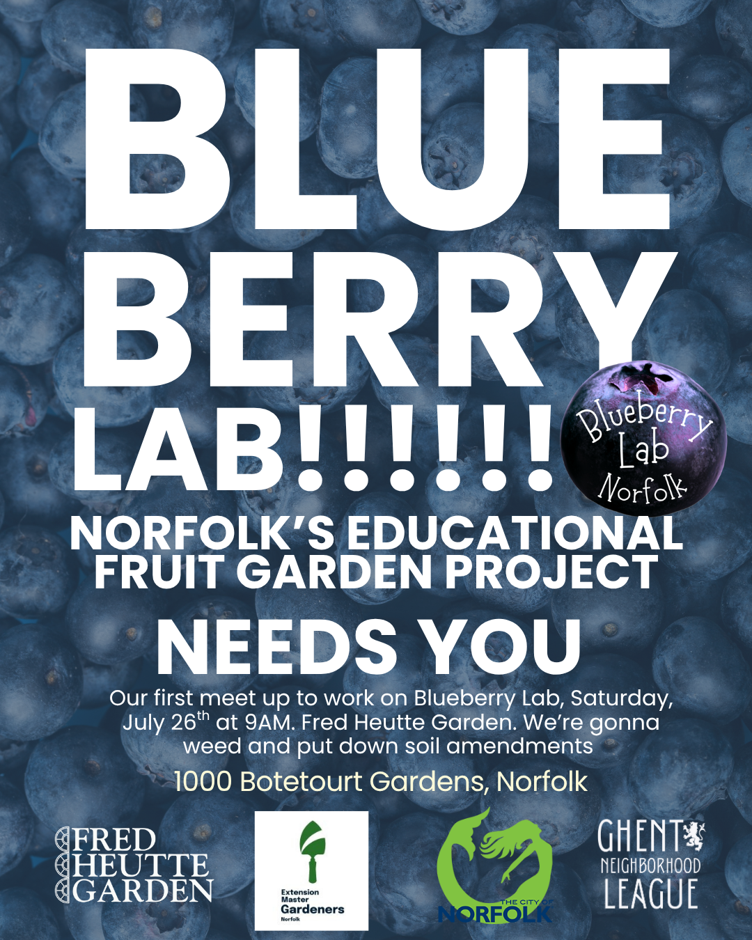 Volunteer for the Blueberry Lab Project!