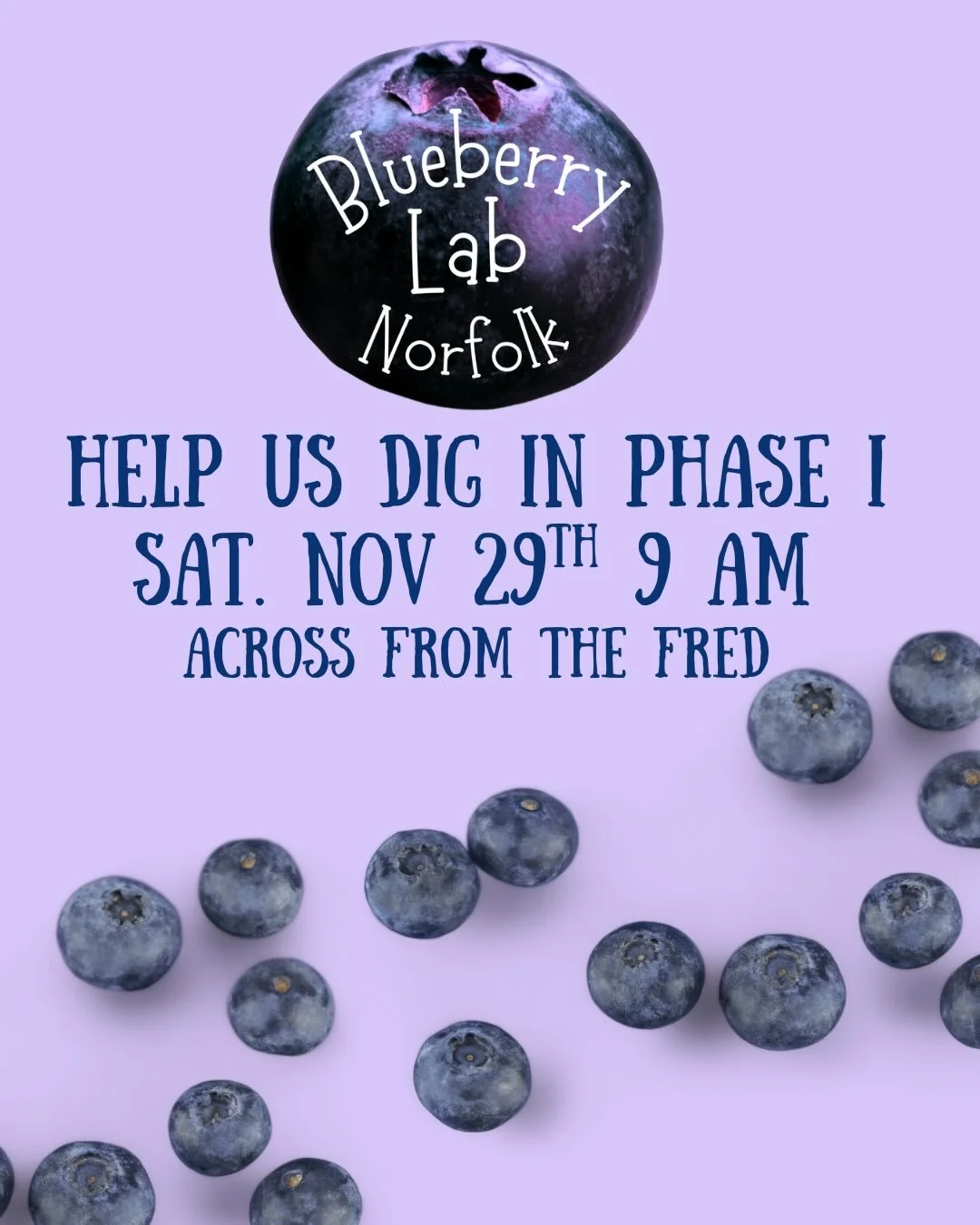 In a week of thankfulness we&rsquo;d be grateful if you can spend some time helping us dig in a city fruit garden! @blueberrylab_norfolk is digging in phase I this Saturday, November 29th at 9am directly across the street from Fred Heutte Garden. Thi