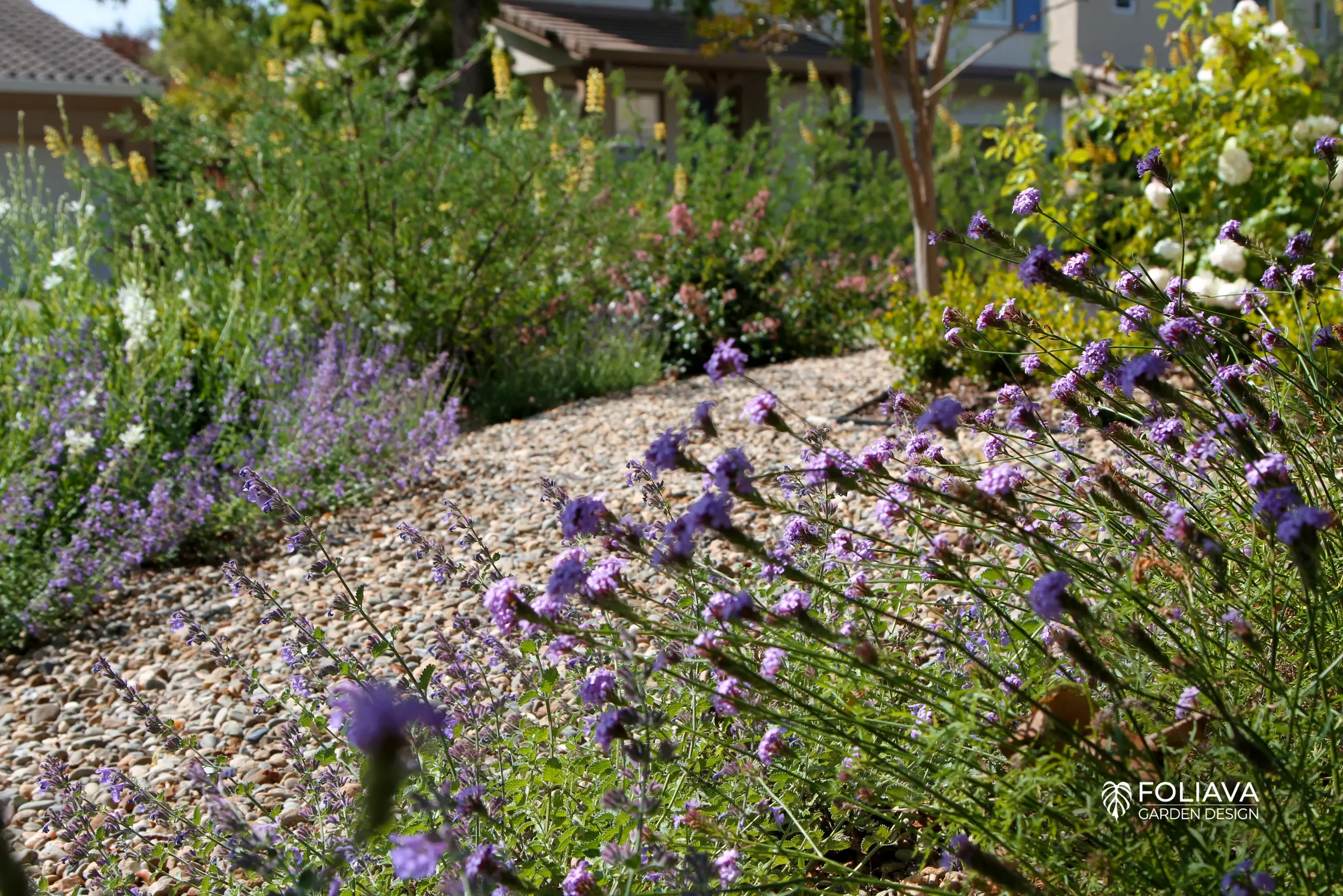 Front Lawn to Monet Garden (Novato)