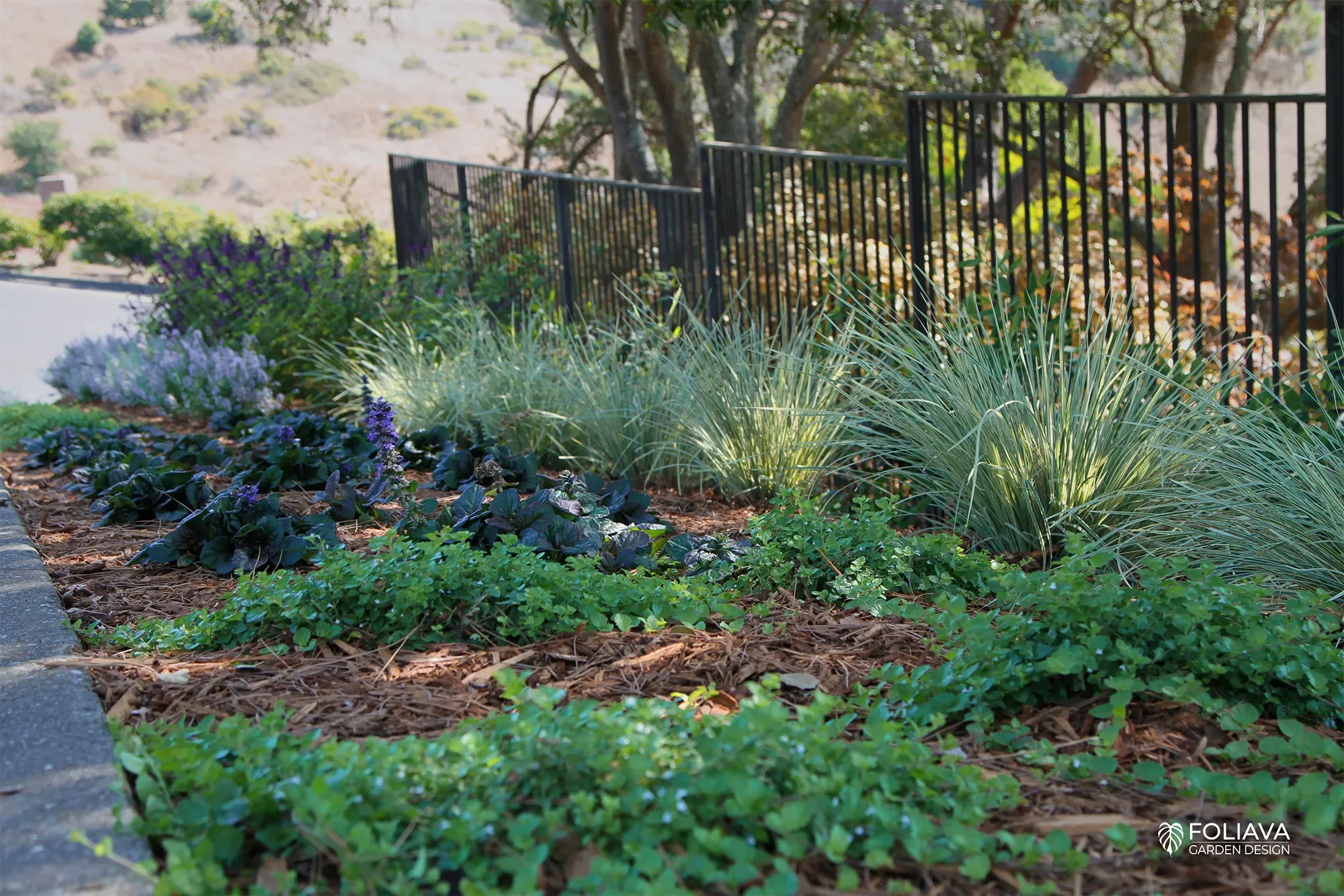 Sustainable entry garden with colorful drought tolerant plants and European charm