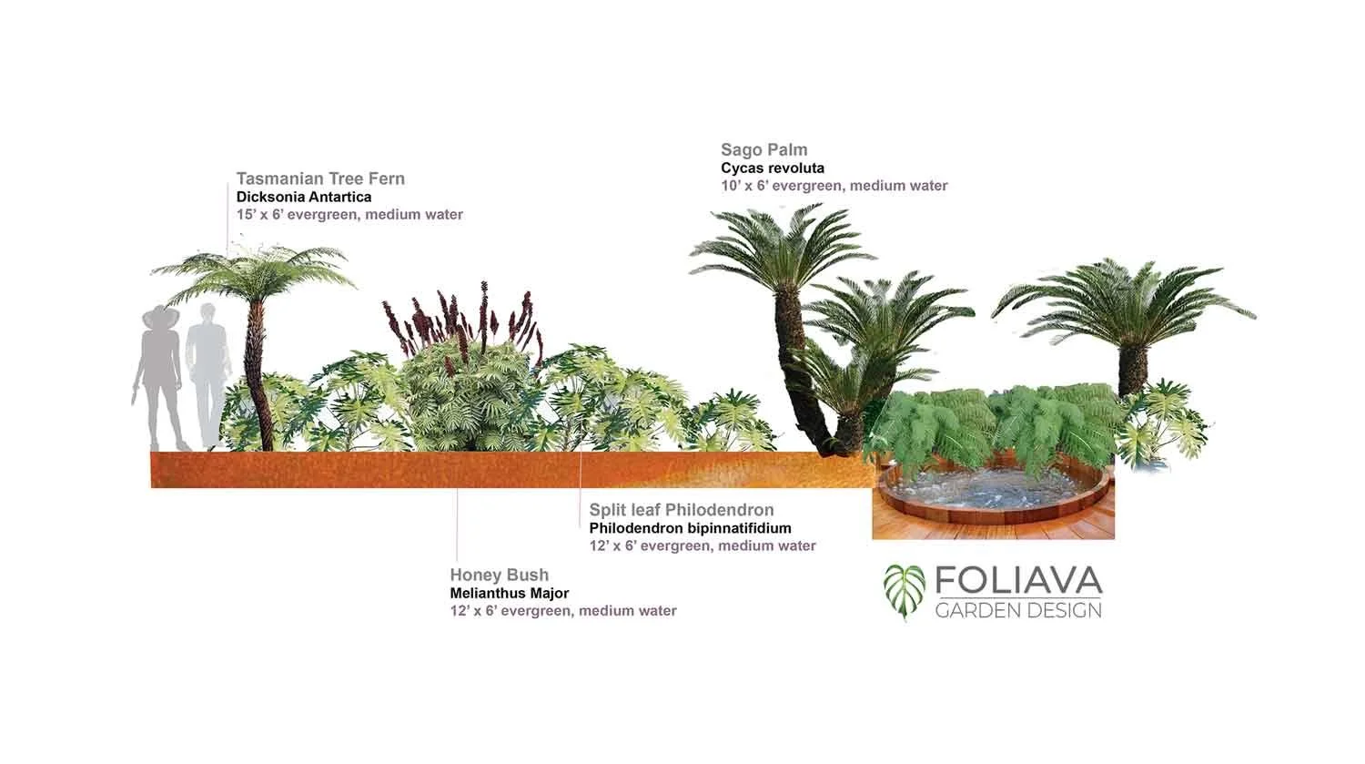 Pool backdrop planting section