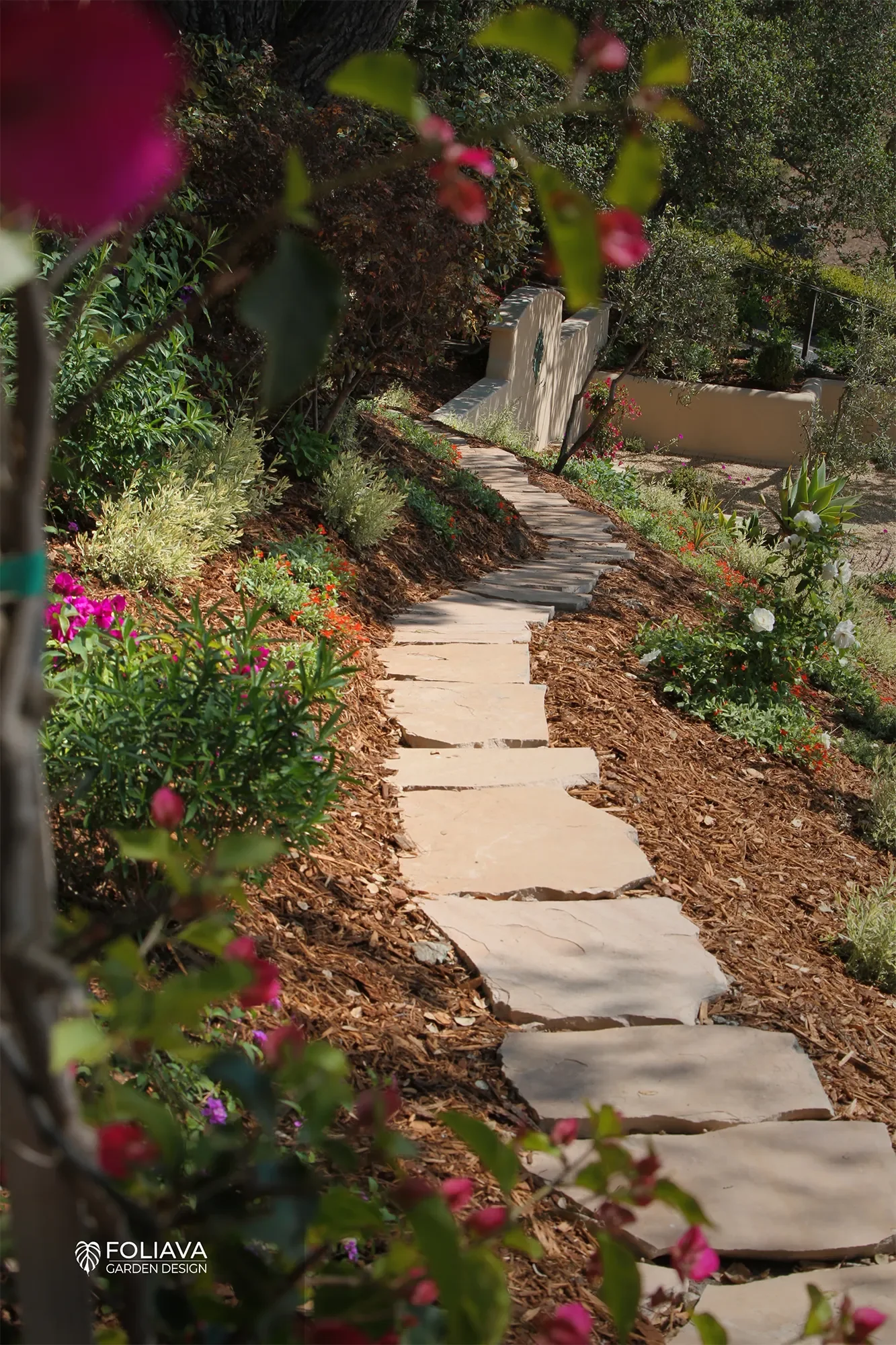 Scenic garden path through Tiburon hillside leading to woodland native plantings