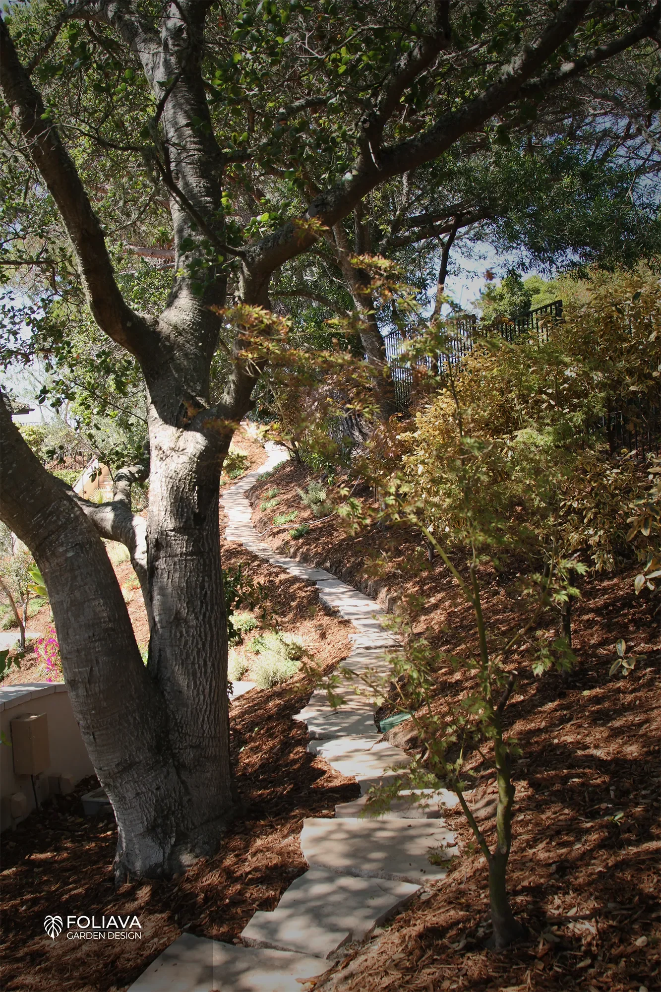 Climate-adapted landscape design with hillside trail and native woodland garden