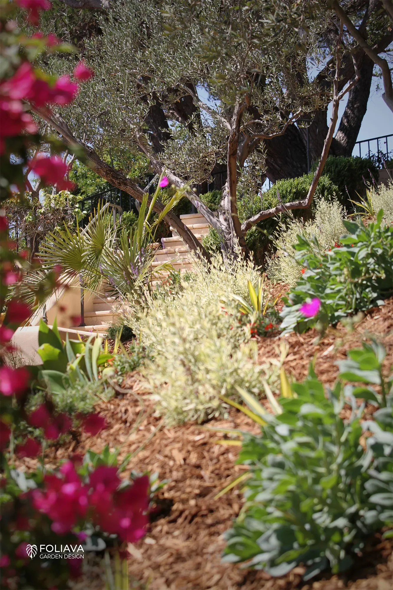Low-water Garden with vibrant color, Marin County sustainable landscaping
