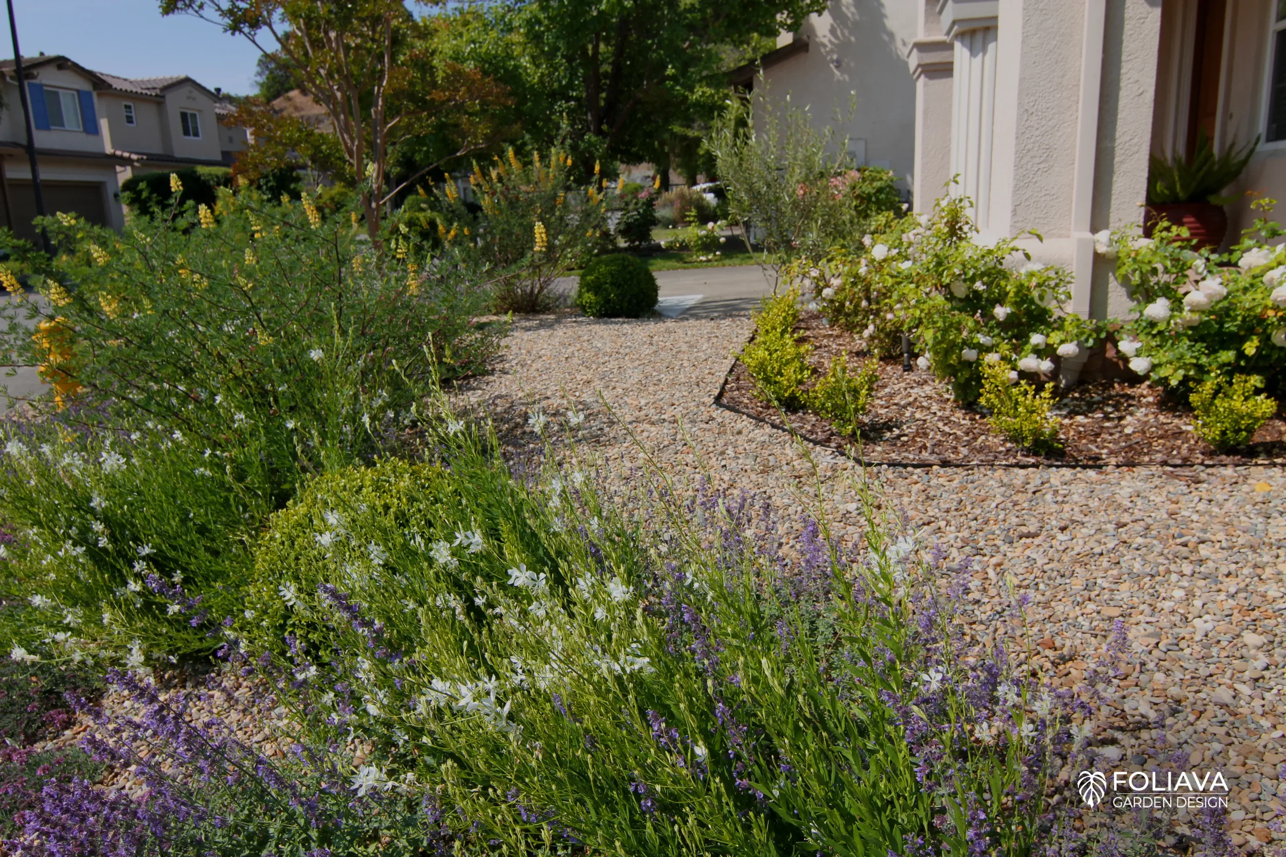 Front garden admired by neighbors for curb appeal and pastel flower design