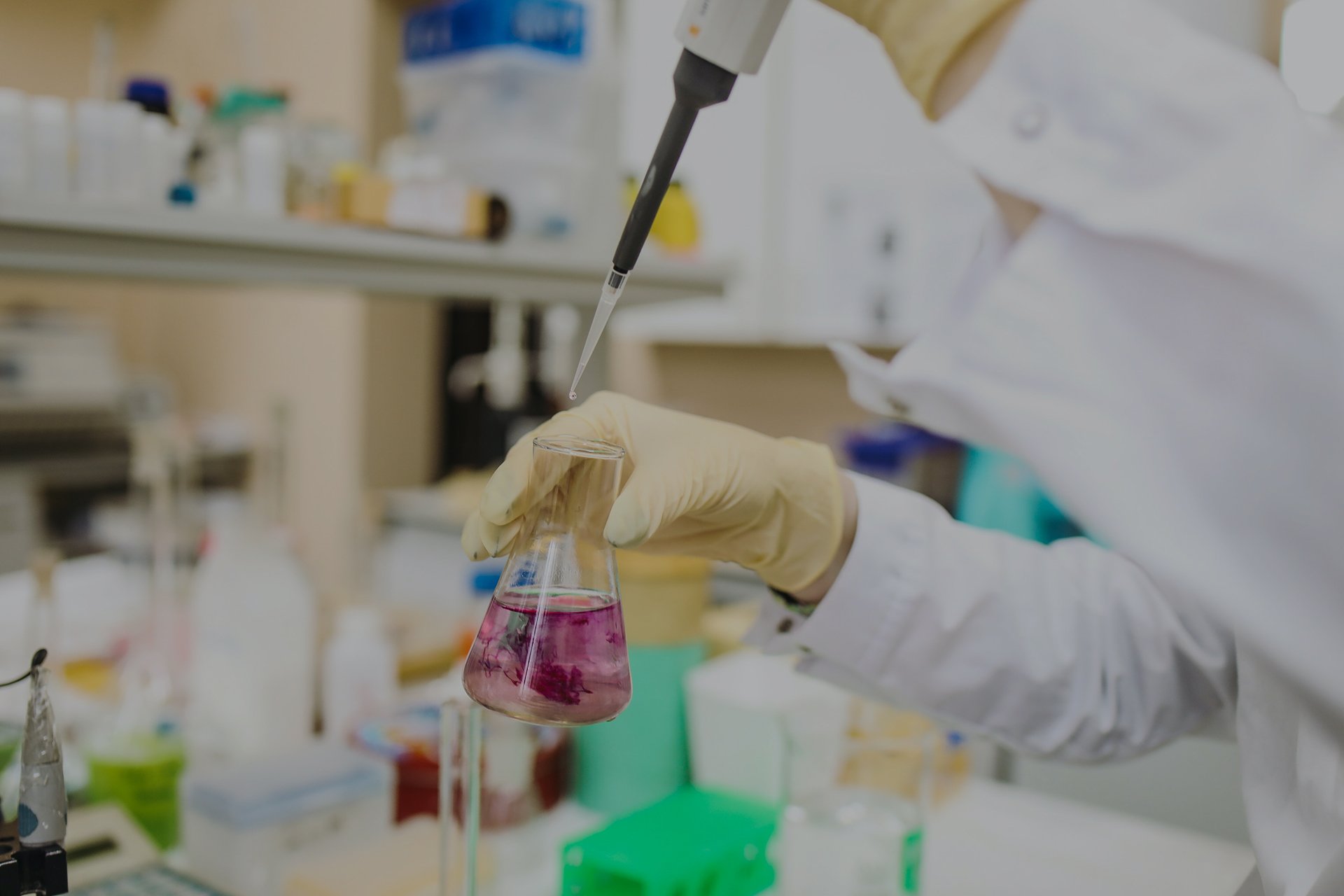 MassBio Summit - A summary with key takeaways