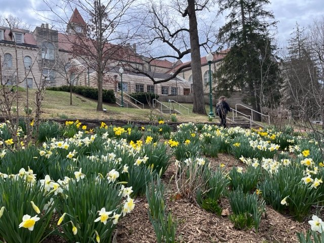 Indiana University