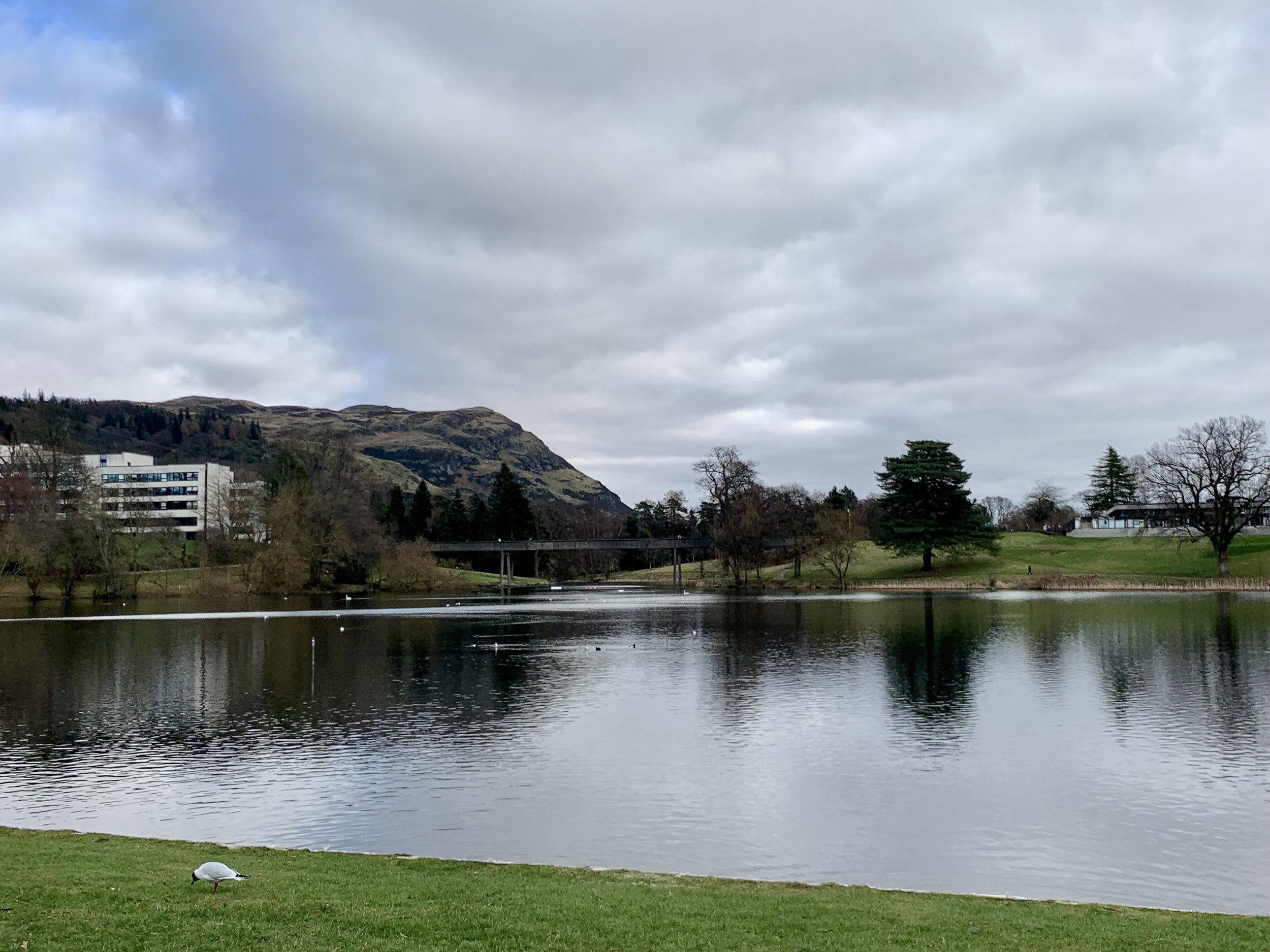 University of Stirling