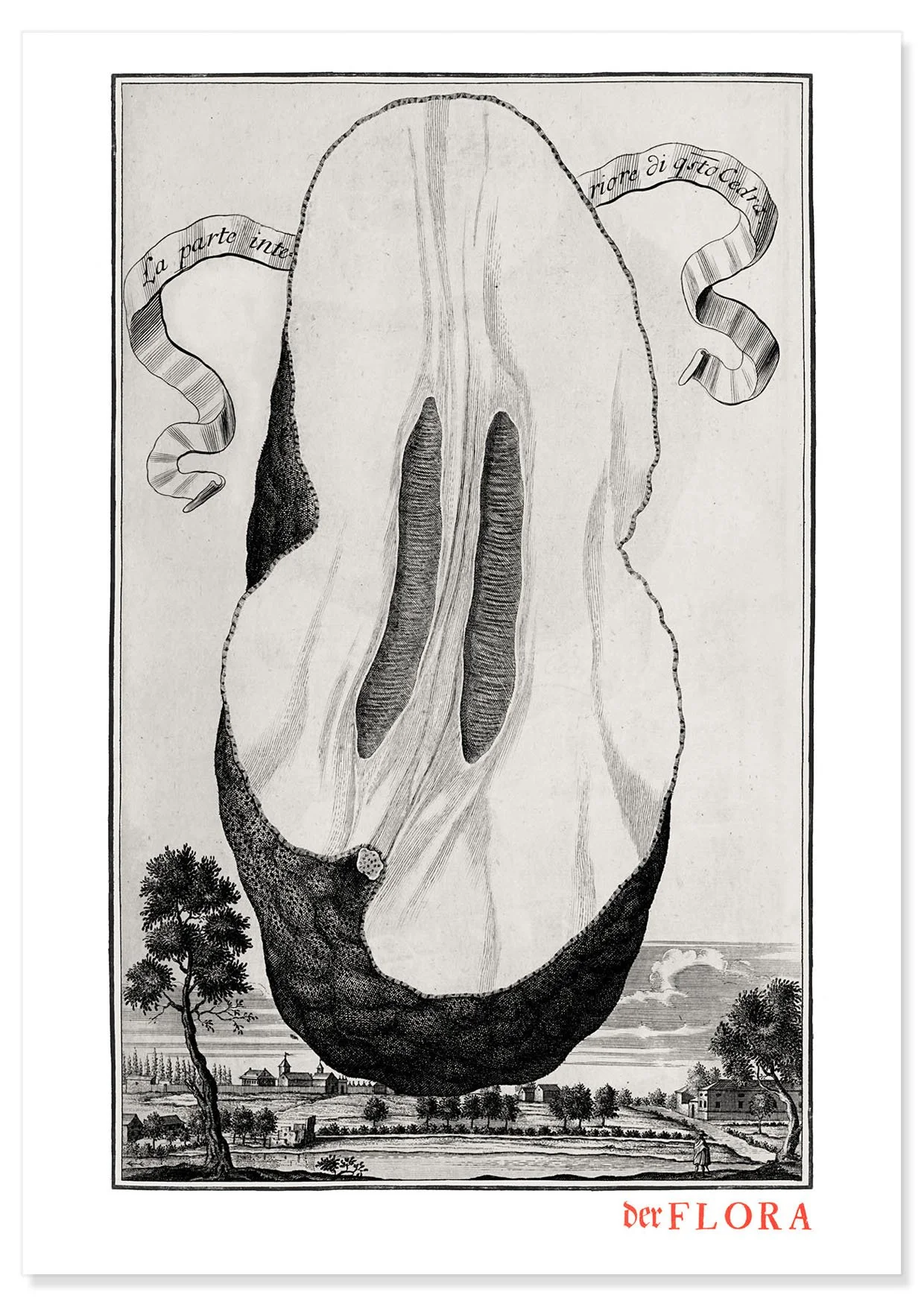 18th century copperplate illustration by Johann Volkamer of the inner part of citrus showing garden culture in Nuremberg, Germany.