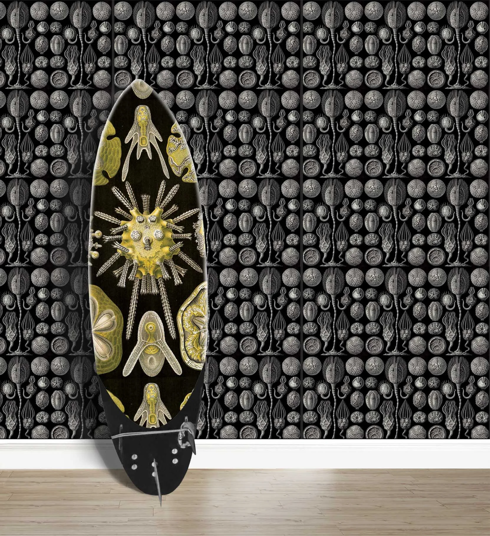 Background wallpaper with Ernst Haeckel’s illustrations of ancient echinoderms against a black background and with a surfboard featuring large sea urchins by the same illustrator.