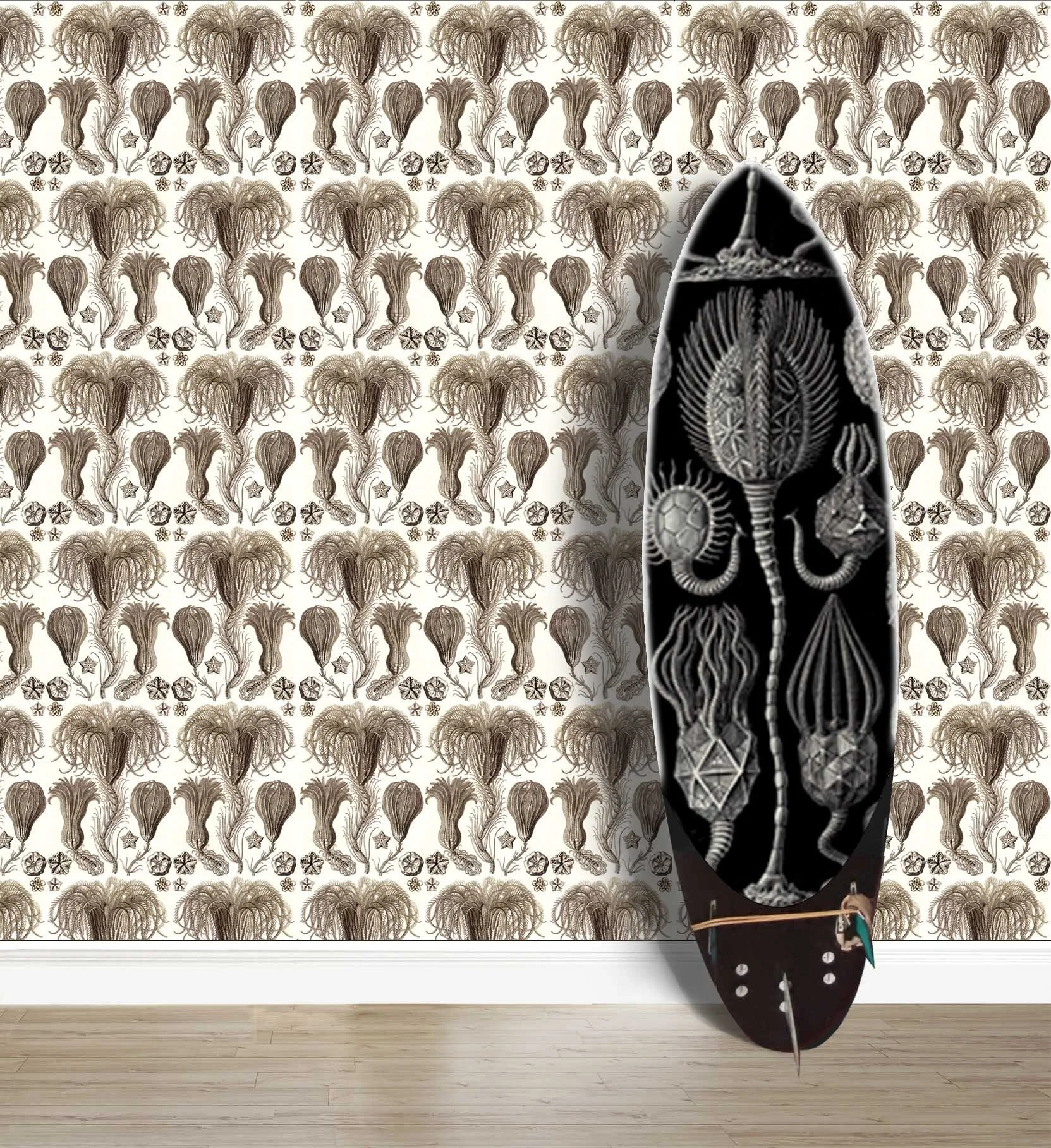 Background wallpaper with Ernst Haeckel’s illustrations of feather stars against a neutral background and with a surfboard featuring echinoderms by the same illustrator.