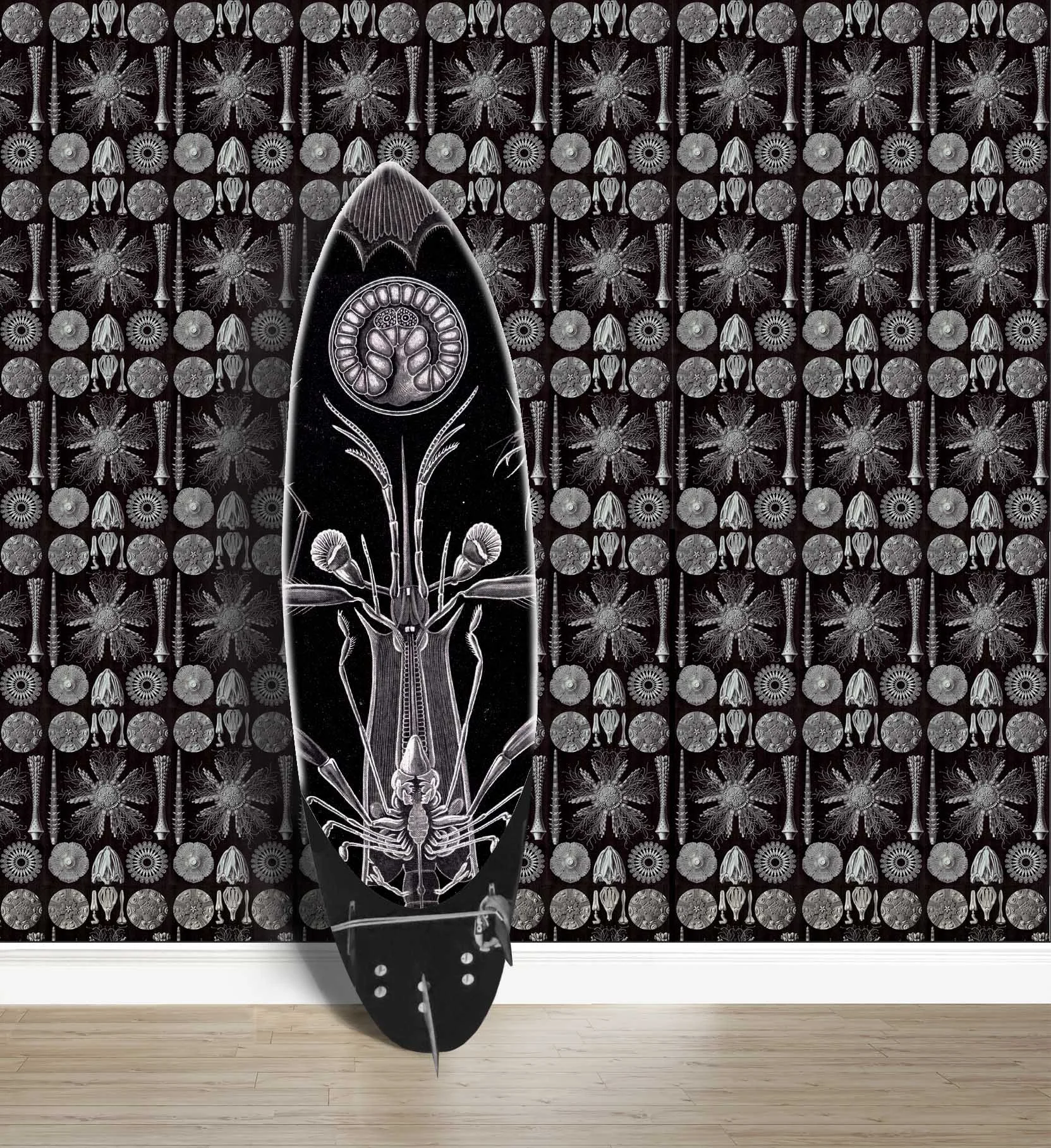Background wallpaper with Ernst Haeckel’s illustrations of pencil sea urchins against a black background and with a surfboard featuring a large crustacean by the same illustrator.