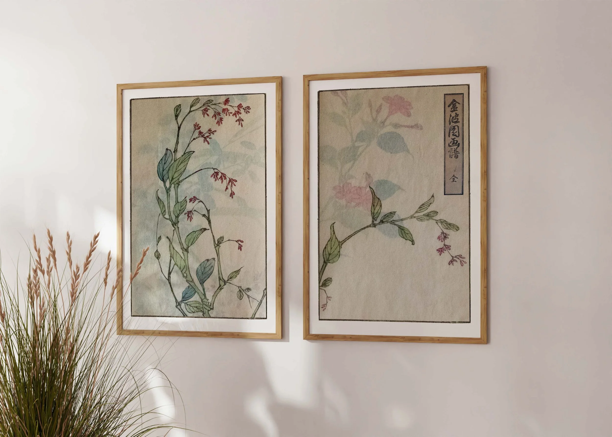 Framed set of two prints of Bunpo Kawamura’s Reddosarubia set with red pea-like flowers on a sunlit wall.