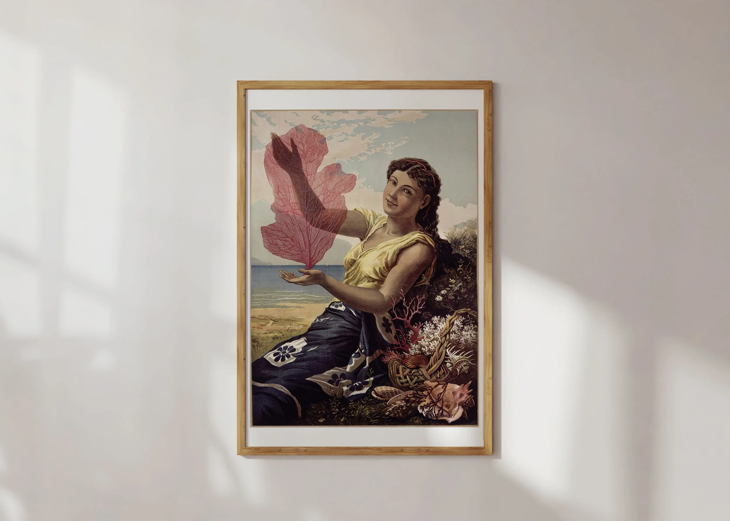 Framed print of a portrait of a young woman at the Australian seaside with sponges and sea shells.
