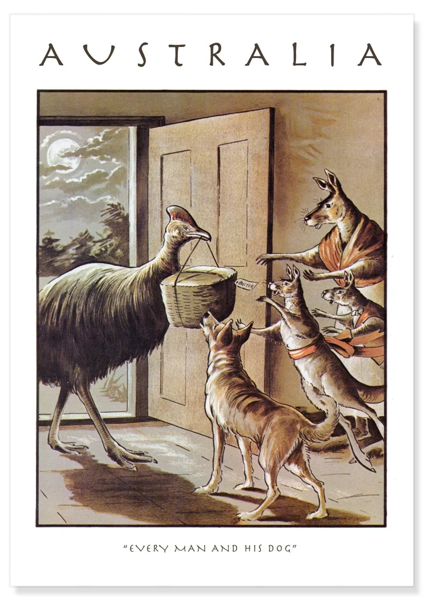 BUSH TUCKER POSTER