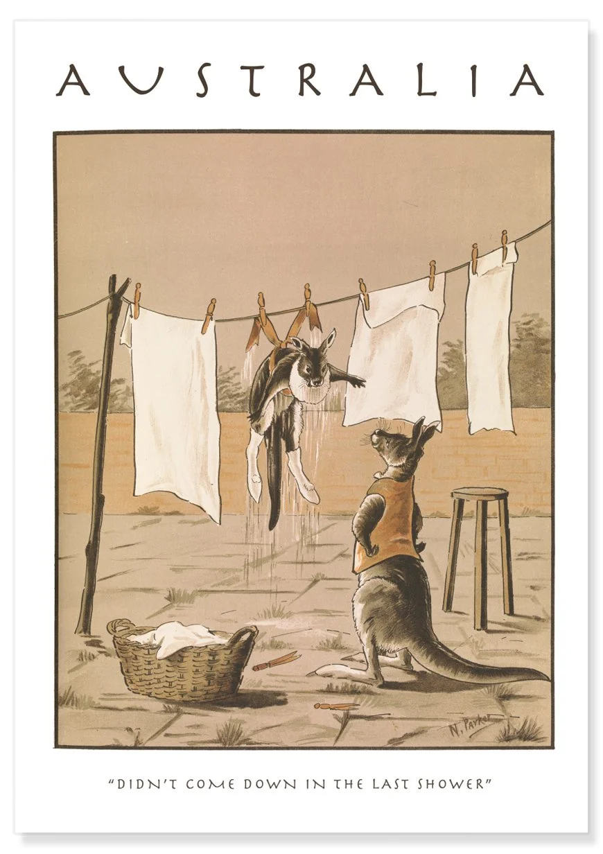 LAST SHOWER POSTER