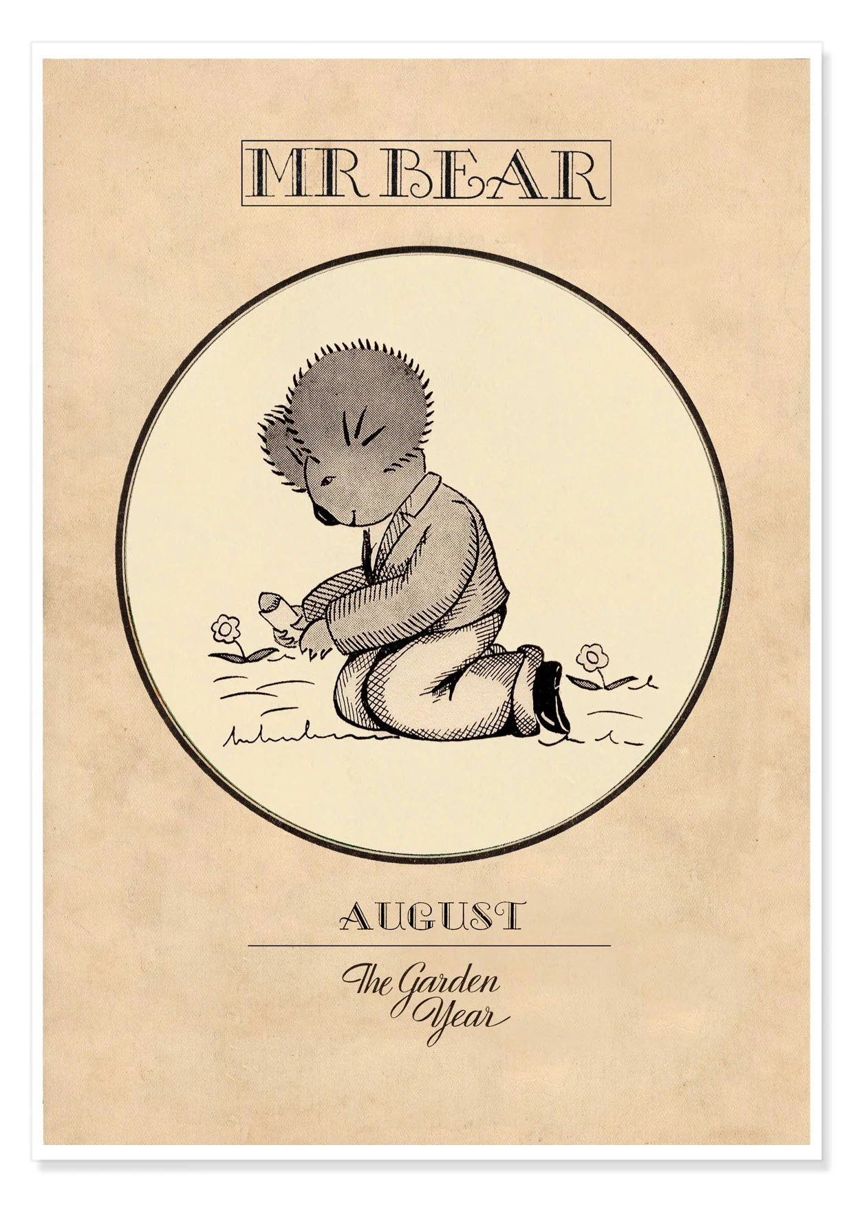 MR BEAR AUGUST B