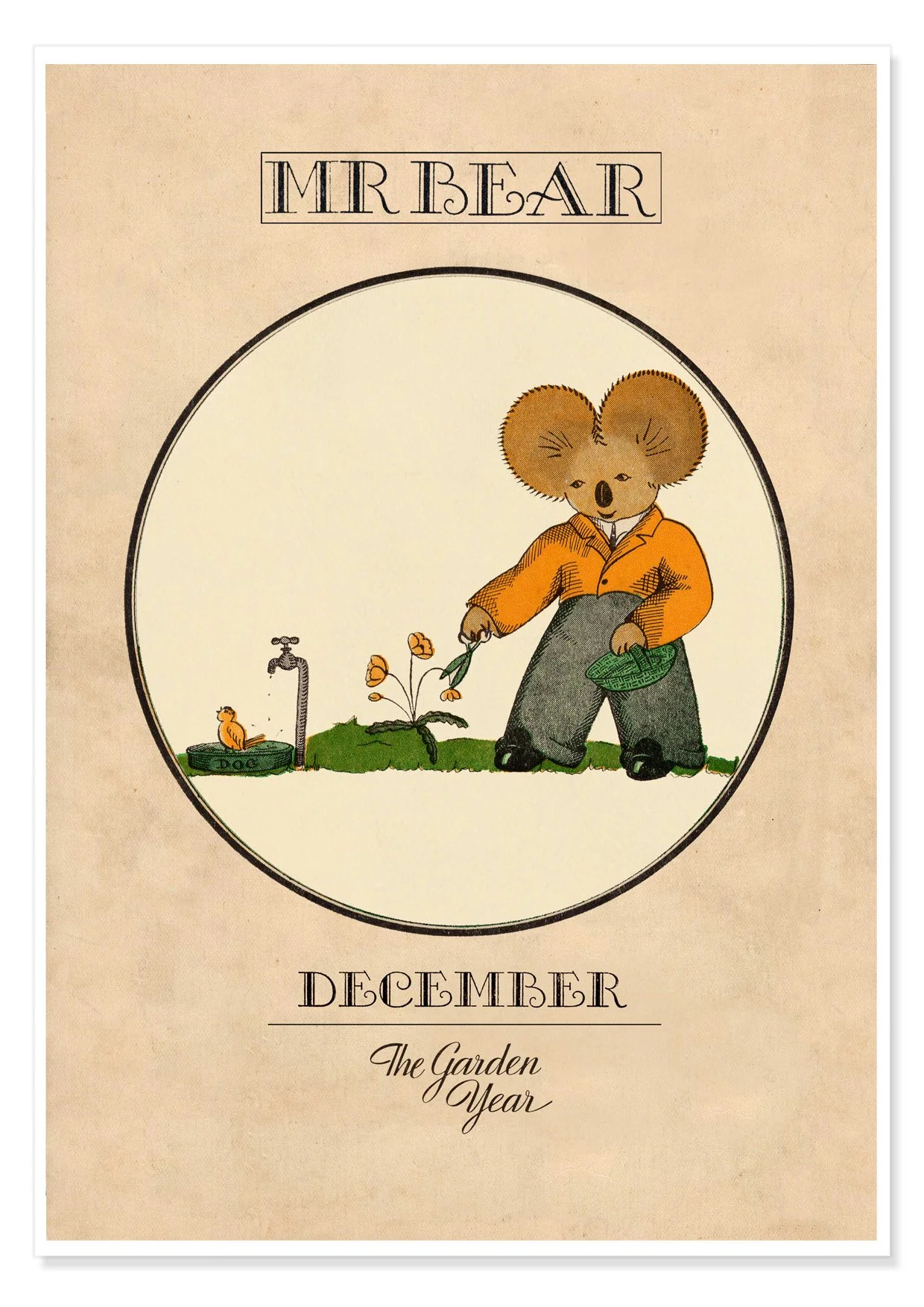 MR BEAR DECEMBER B